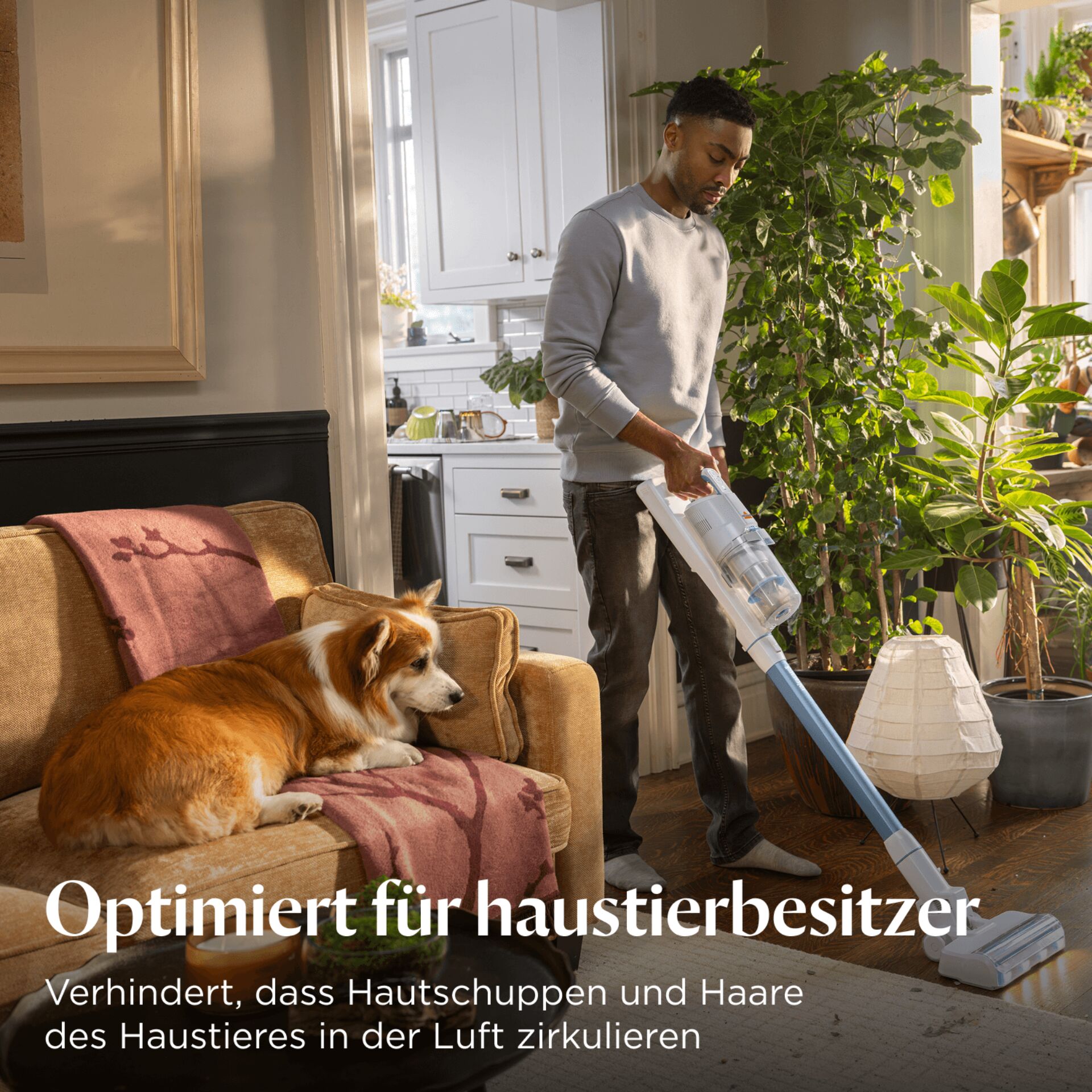 Innenarchitektur, Pflanze im Topf, Reinigen, Person, Hund