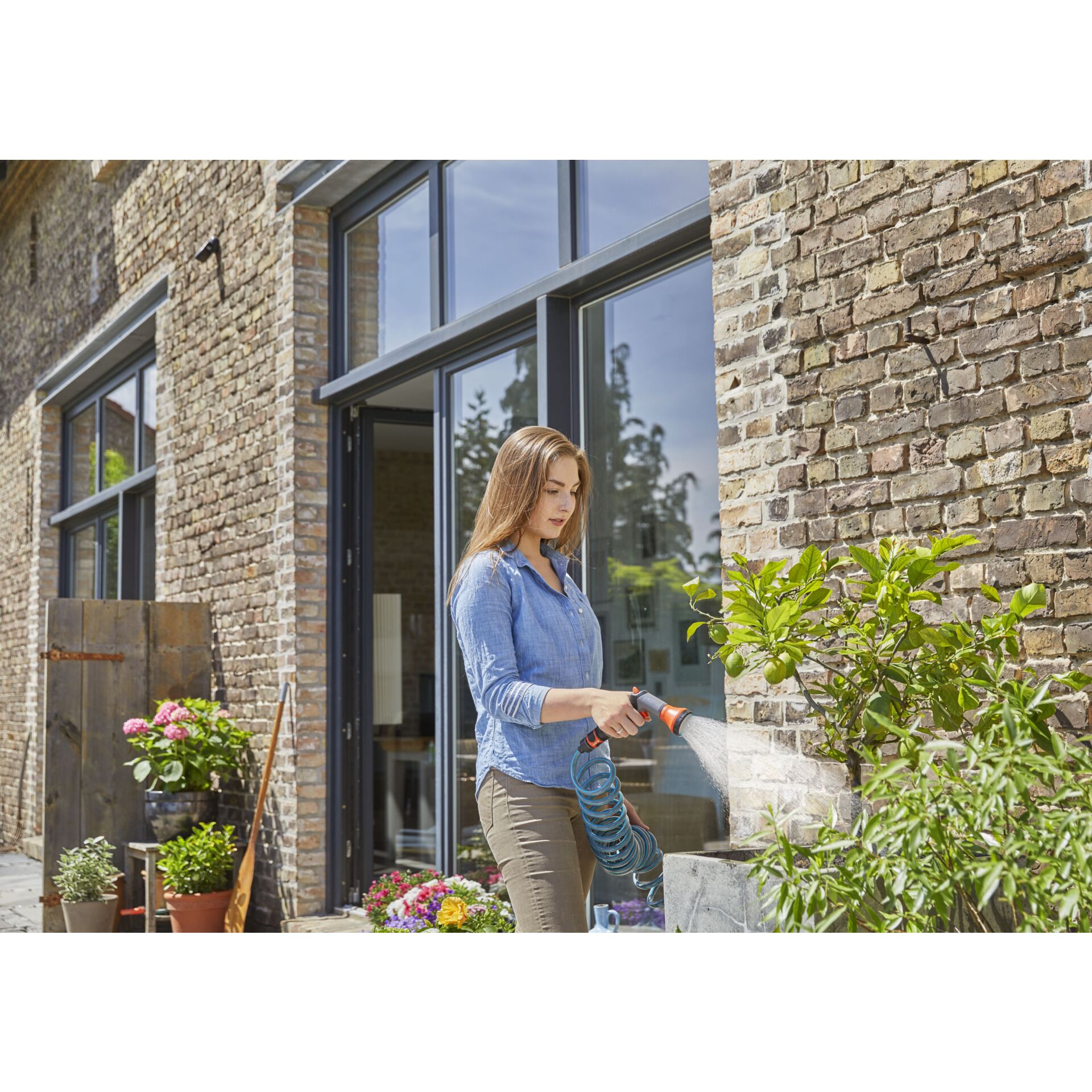 Drinnen, Innenarchitektur, Person, Fenster, Pflanze