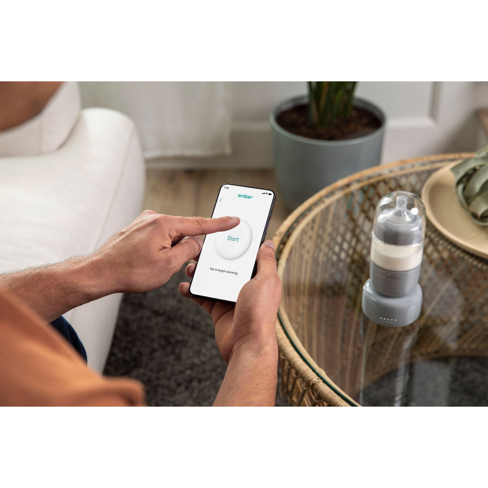 Elektronik, Telefon, Pflanze