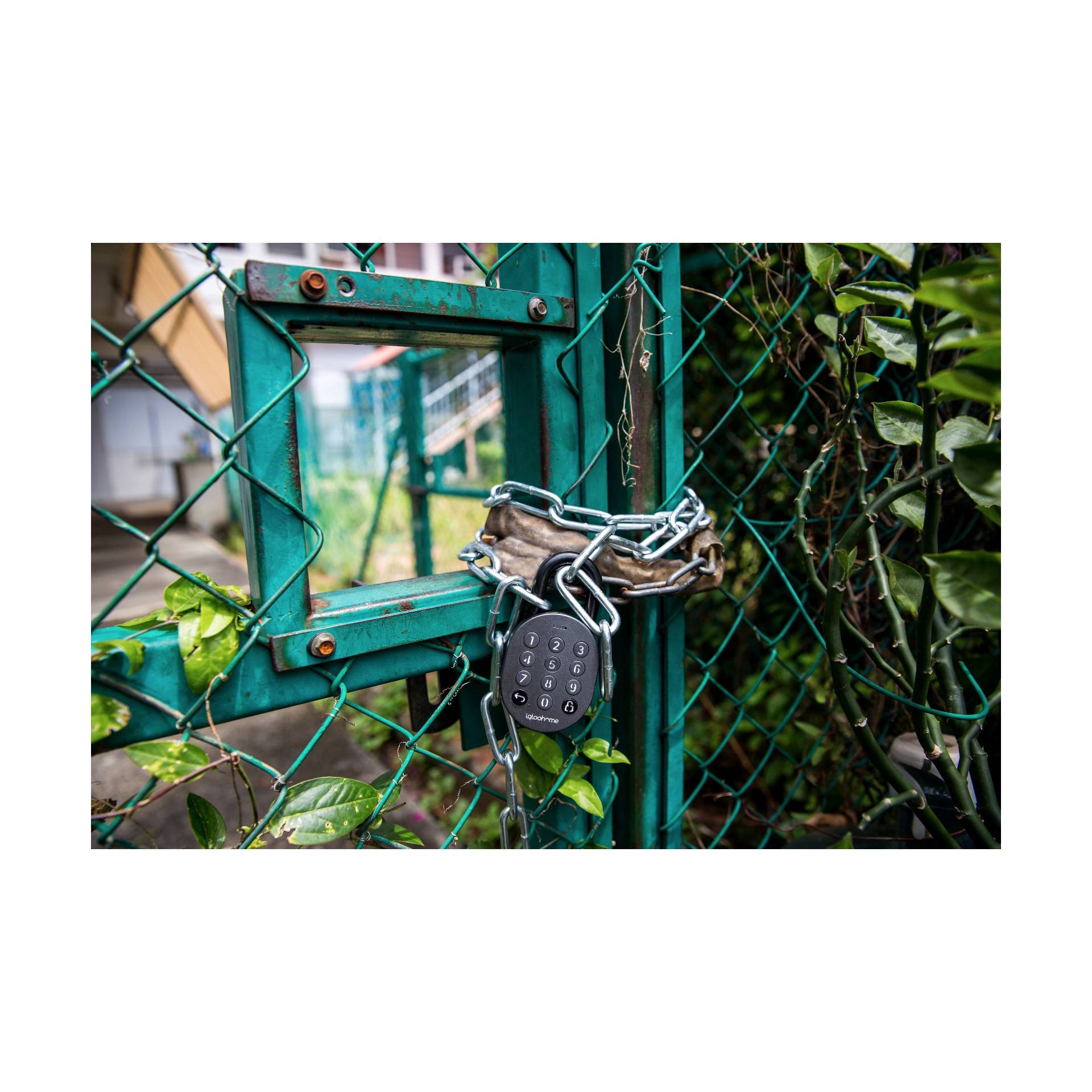 Drinnen, Innenarchitektur, Schuhwerk, Schuh, Sneaker