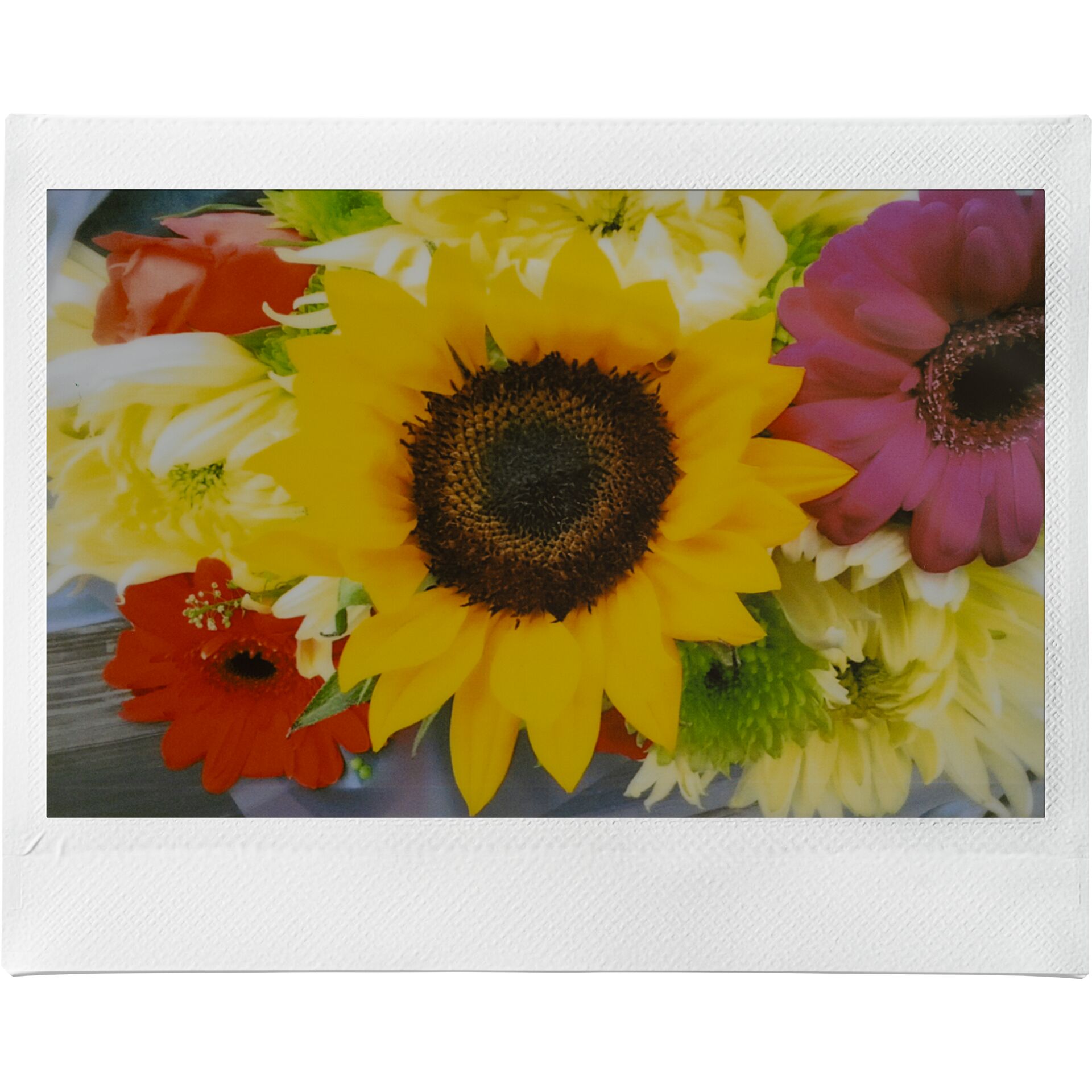 Blume, Blumen-Arrangement, Blumenstrauß, Sonnenblume, Blütenblatt