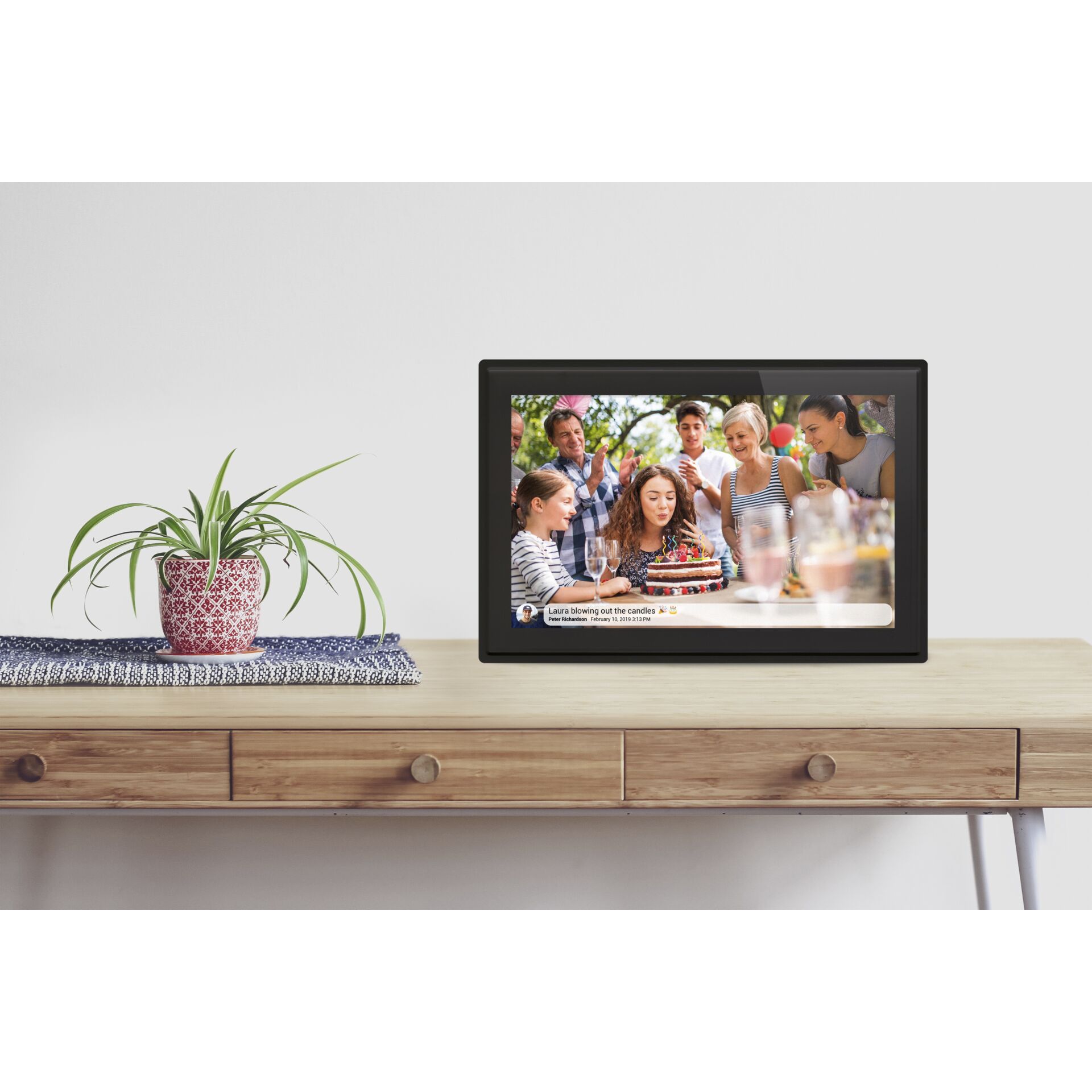 Elektronik, Hardware, Überwachen, Bildschirm, Pflanze