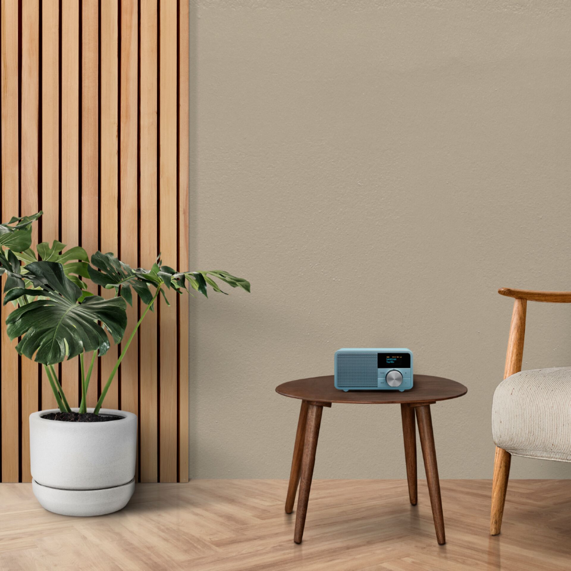 Drinnen, Innenarchitektur, Pflanze, Pflanze im Topf, Paneele aus Holz