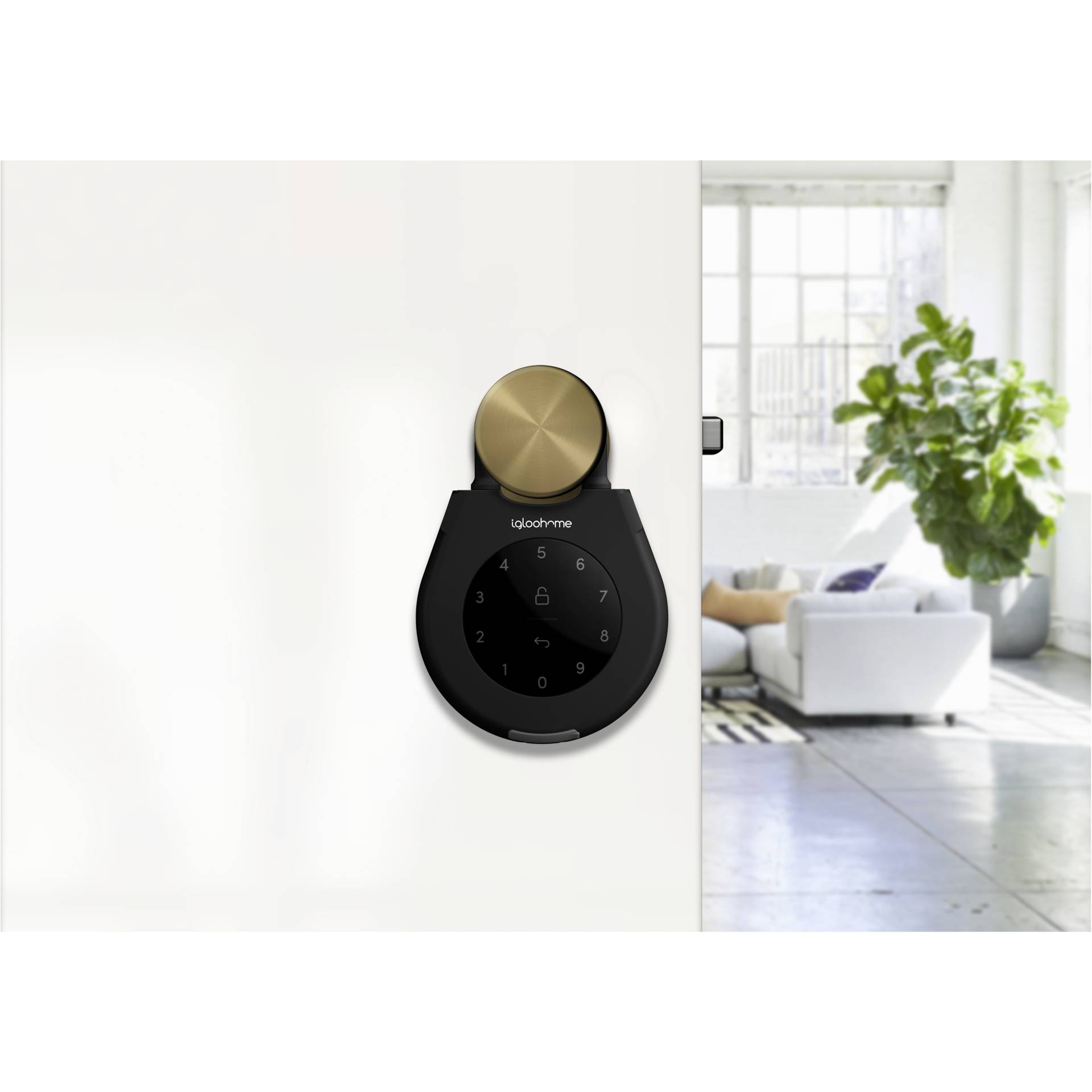 Topfpflanze, Krug, Pflanzgefäß, Töpferei, Innenarchitektur