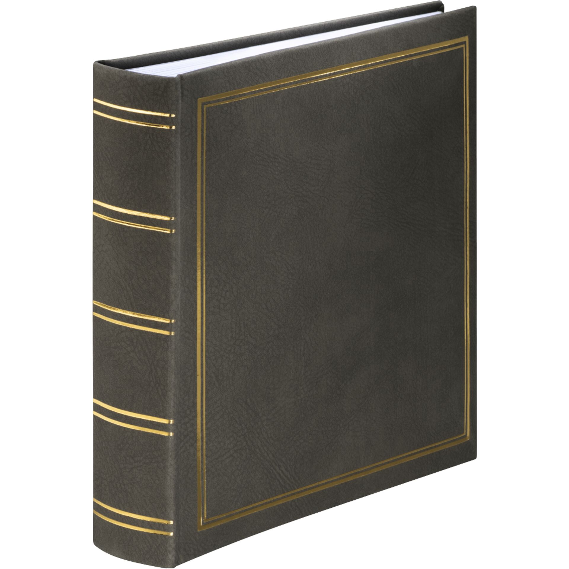 Datei-Binder, Buch, Veröffentlichung