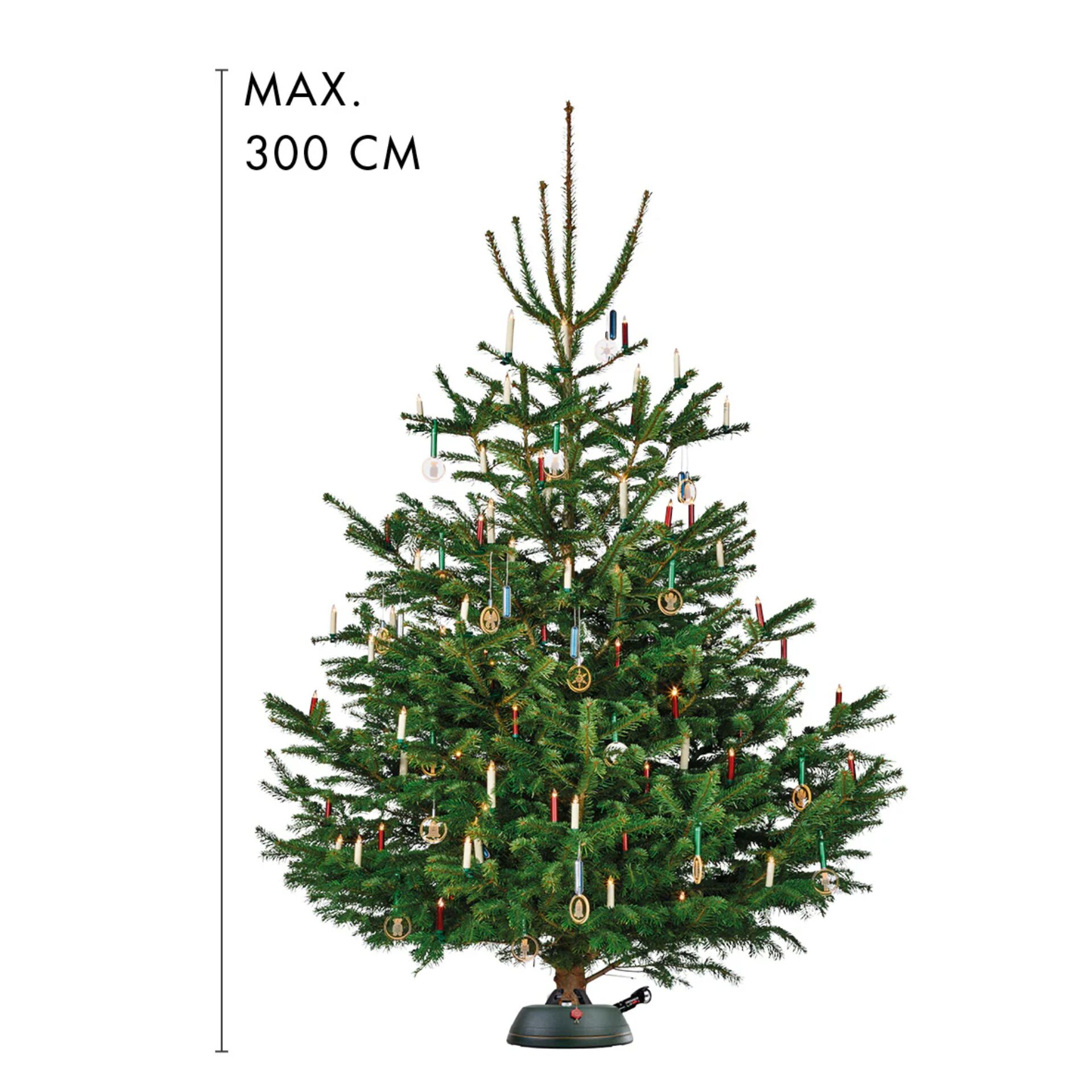 Pflanze, Baum, Kiefer, Weihnachtsdekorationen, Festival