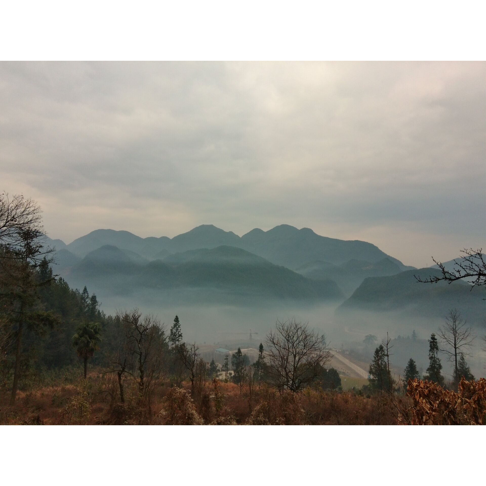 Baum, Natur, Wetter, Wildnis, Gebirgskette