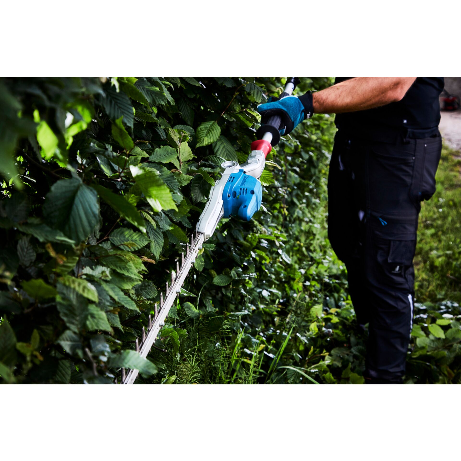 Garten, Natur, Draußen, Gartenarbeit, Gärtner