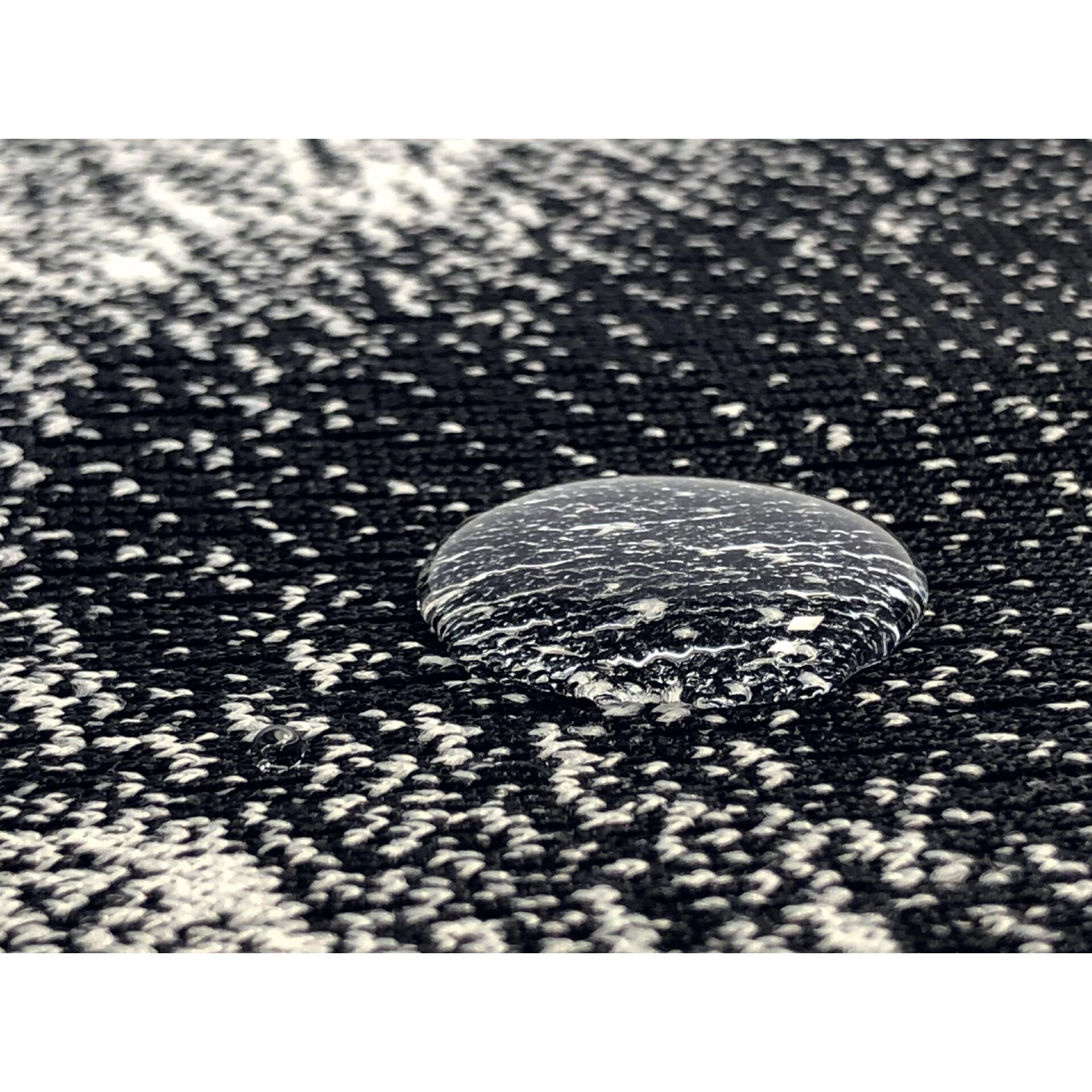 Dekoration für Zuhause, Teppich, Muschel, Leben im Meer