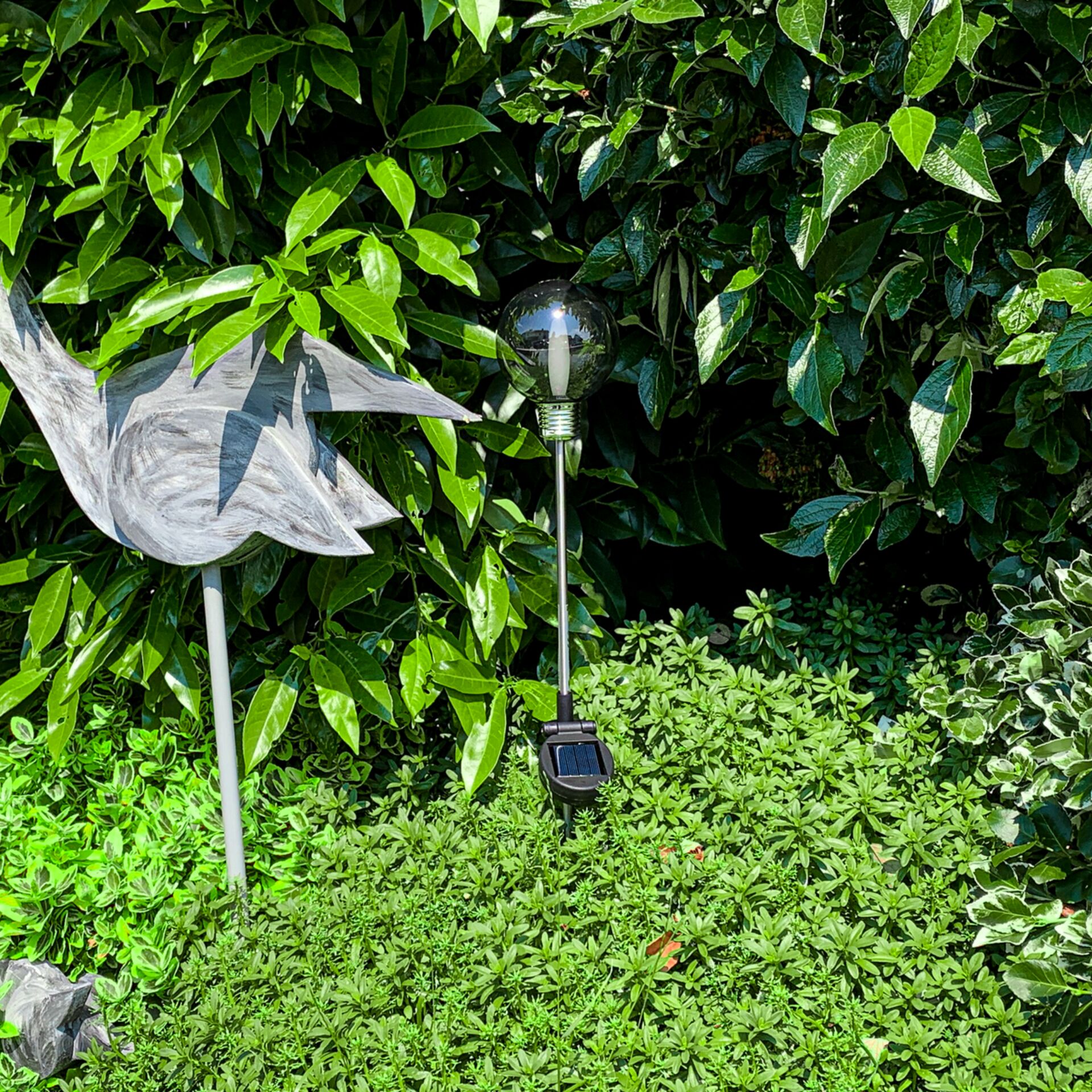 Gras, Pflanze, Vegetation