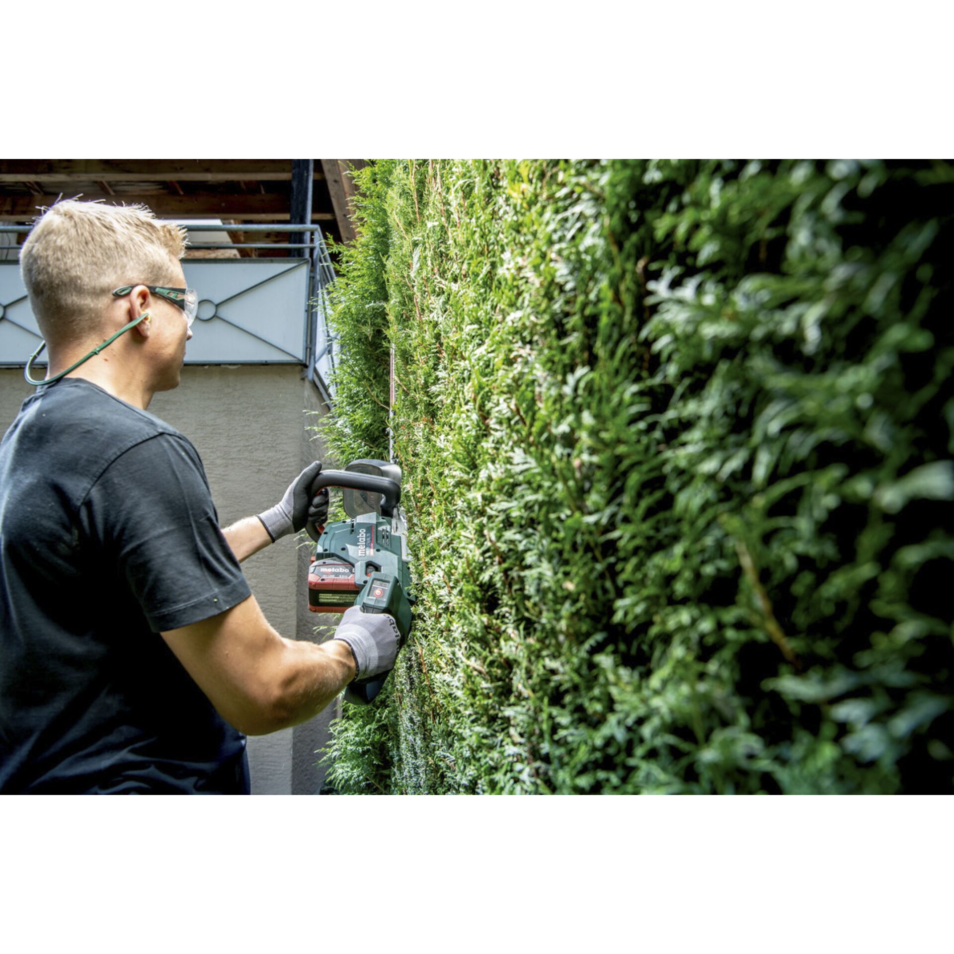 Garten, Draußen, Hecke, Gartenarbeit, Handschuh