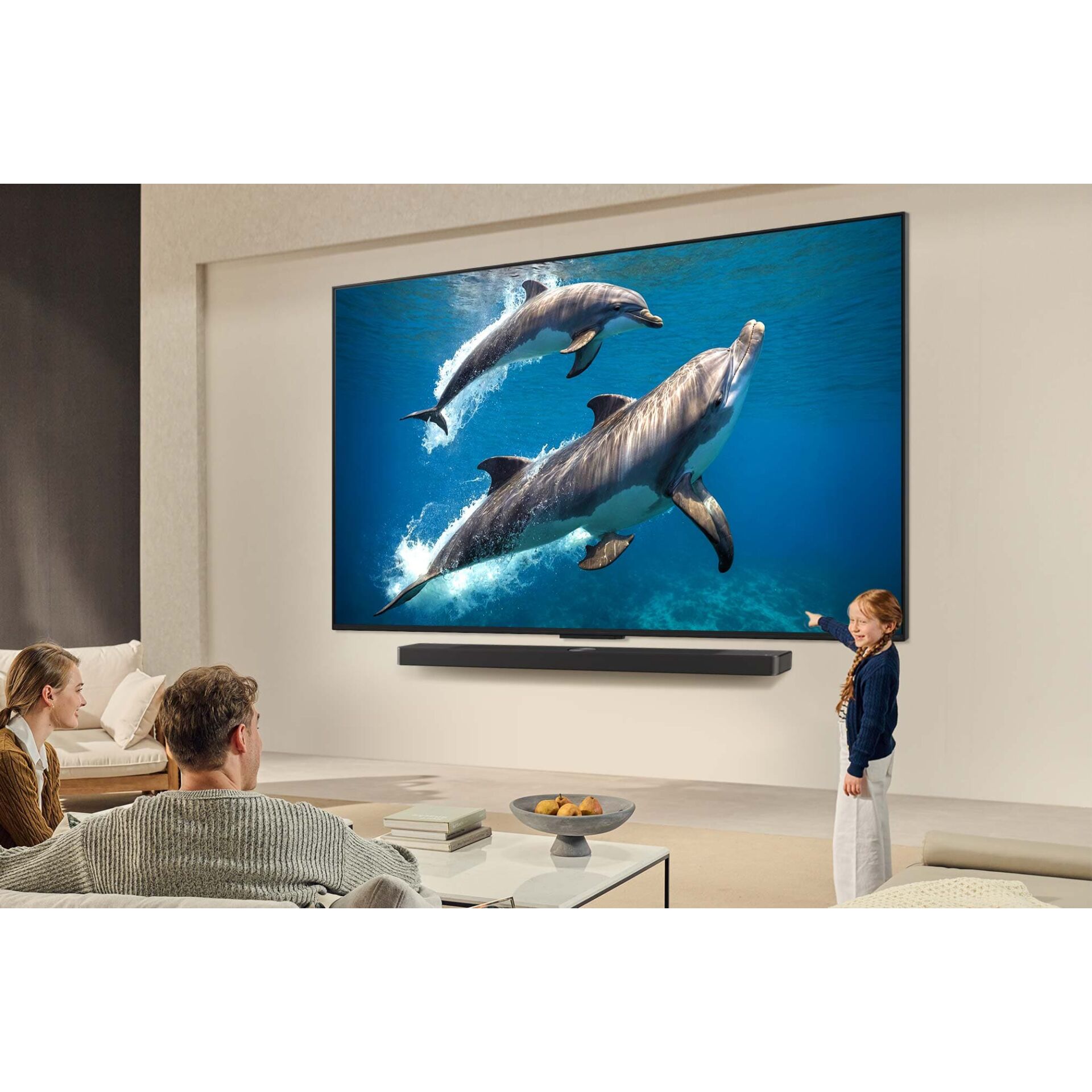 Fernseher, TV, Bildschirm, Wandmontage, Delfine