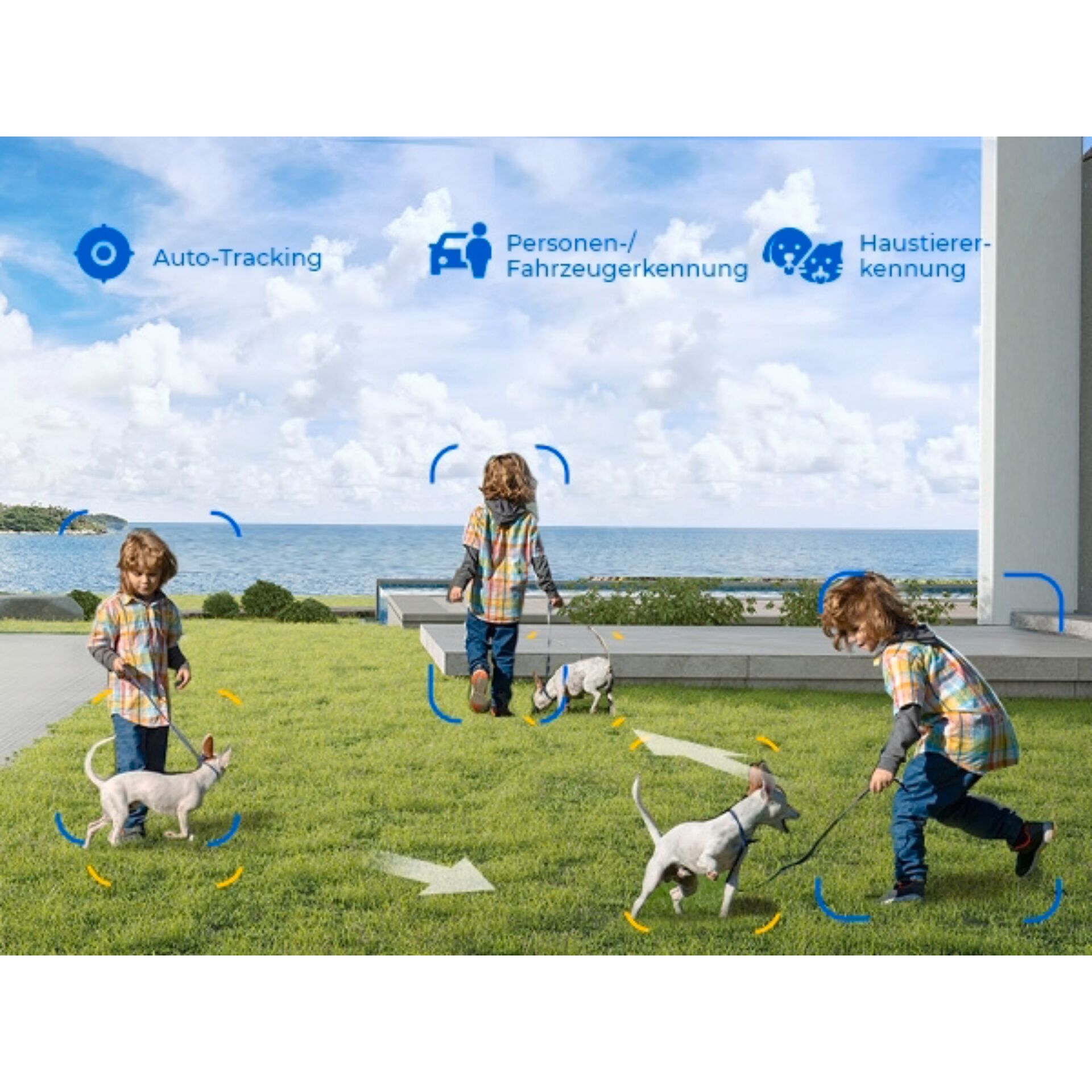 Person, Junge, Kind, Männlich, Spazierender Hund