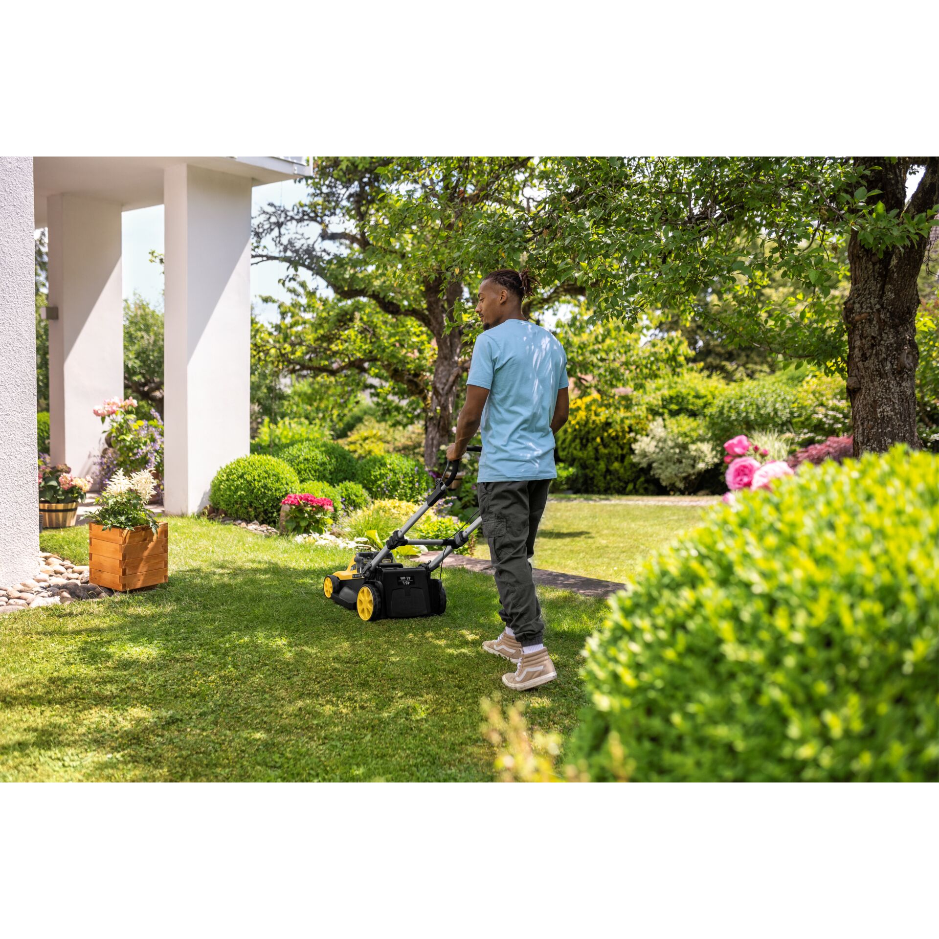 Gras, Rasen, Gerät, Rasenmäher, Rasen mähen