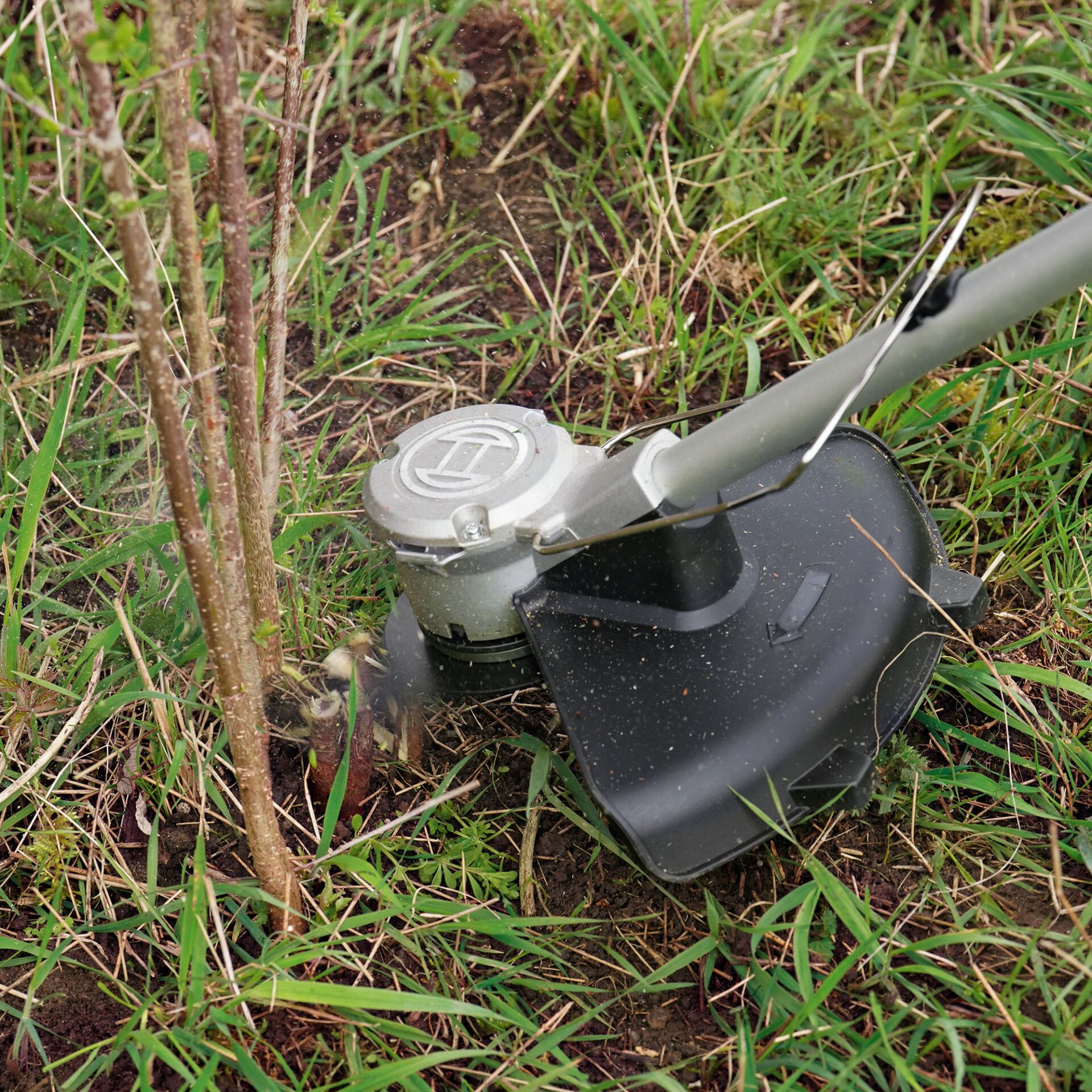 Gras, Rasen, Pflanze, Gerät