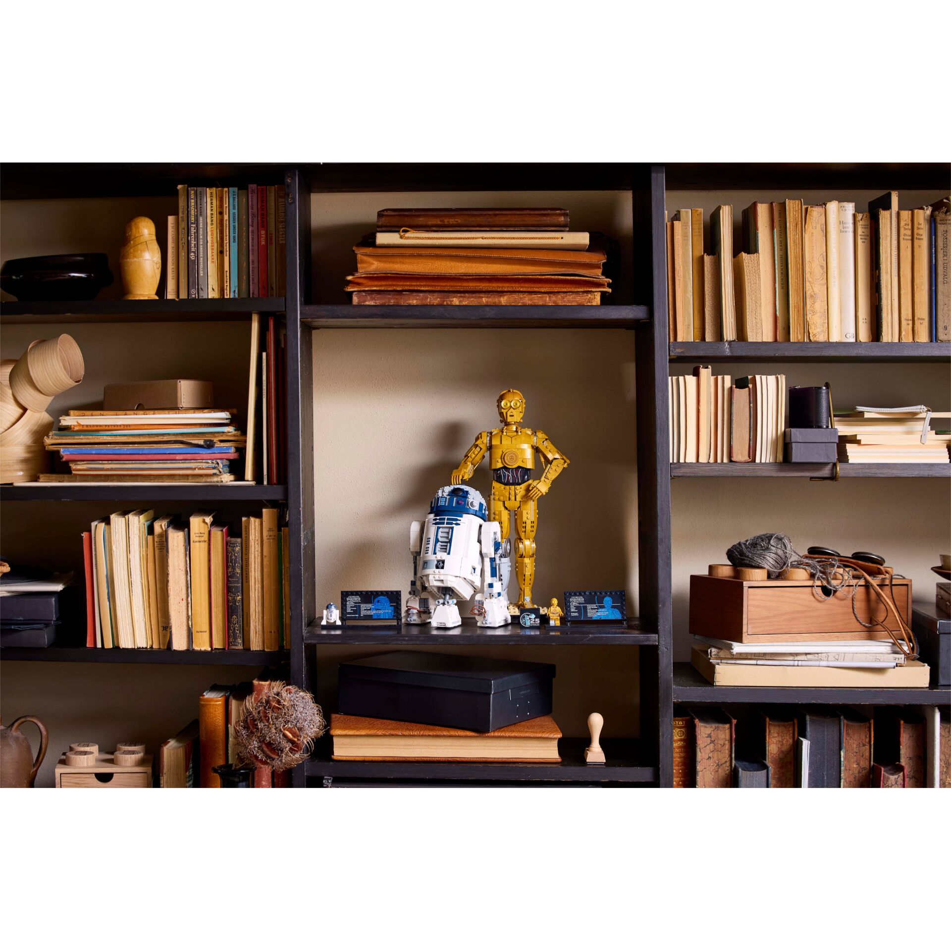 Moebel, Bücherschrank, Person