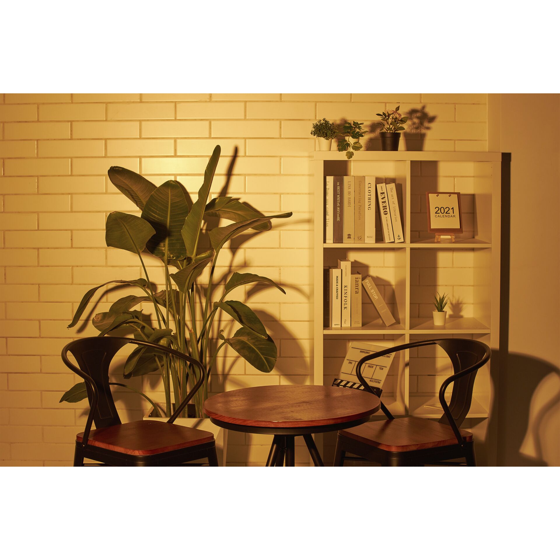 Innenarchitektur, Stuhl, Mobiliar, Tabelle, Pflanze