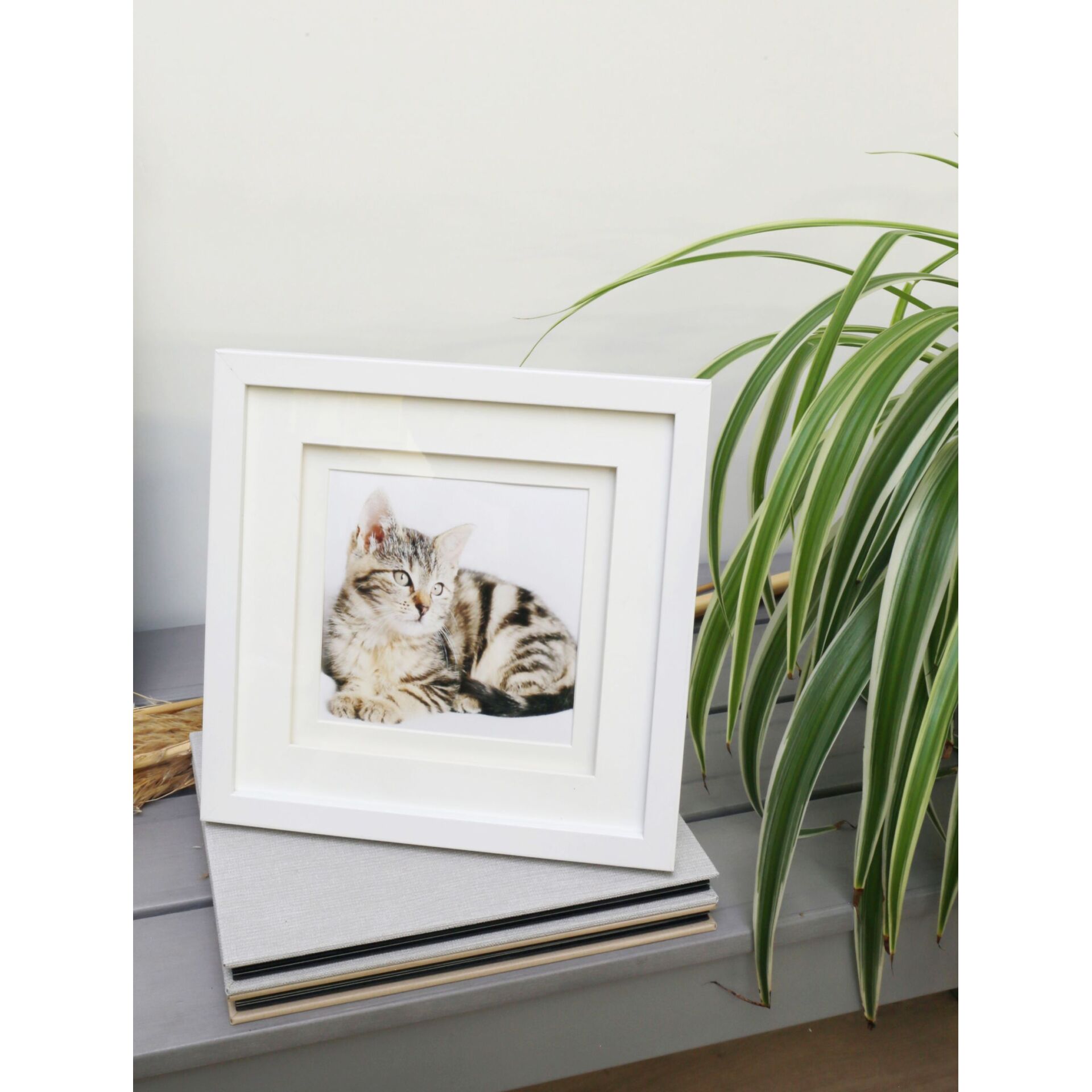 Fotorahmen, Kunst, Malerei, Pflanze, Katze