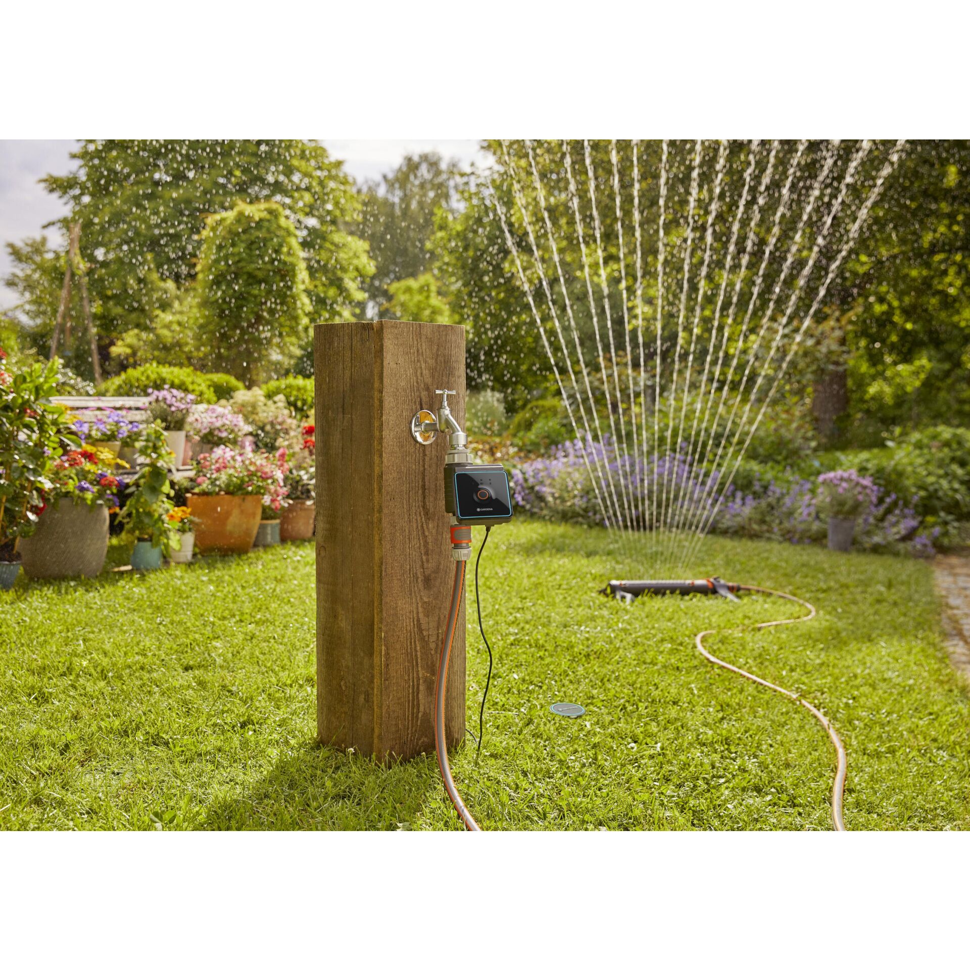 Innenarchitektur, Gras, Topfpflanze, Hinterhof, Wasser