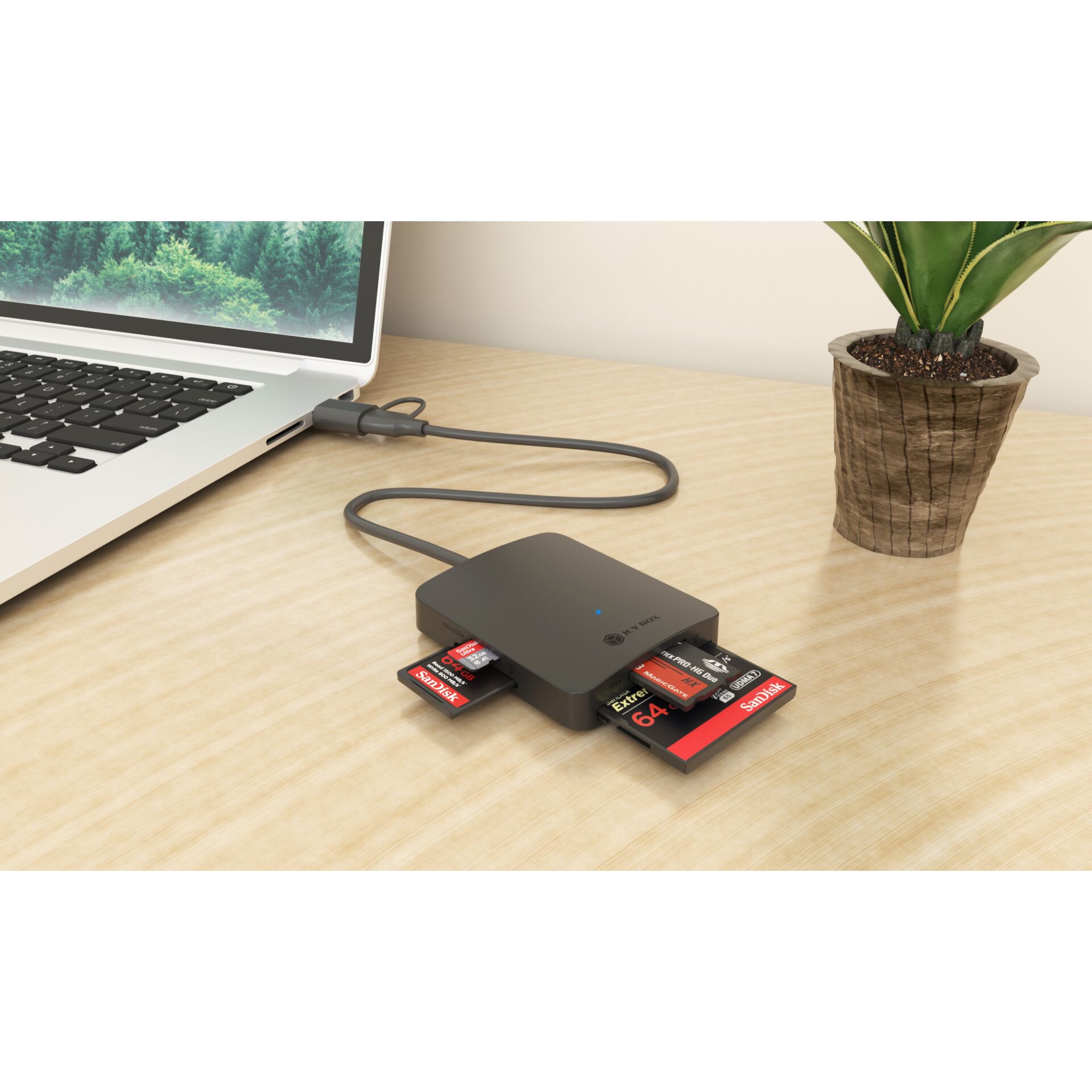 Laptop, PC, Pflanze, Computer-Ausrüstung, Tabelle