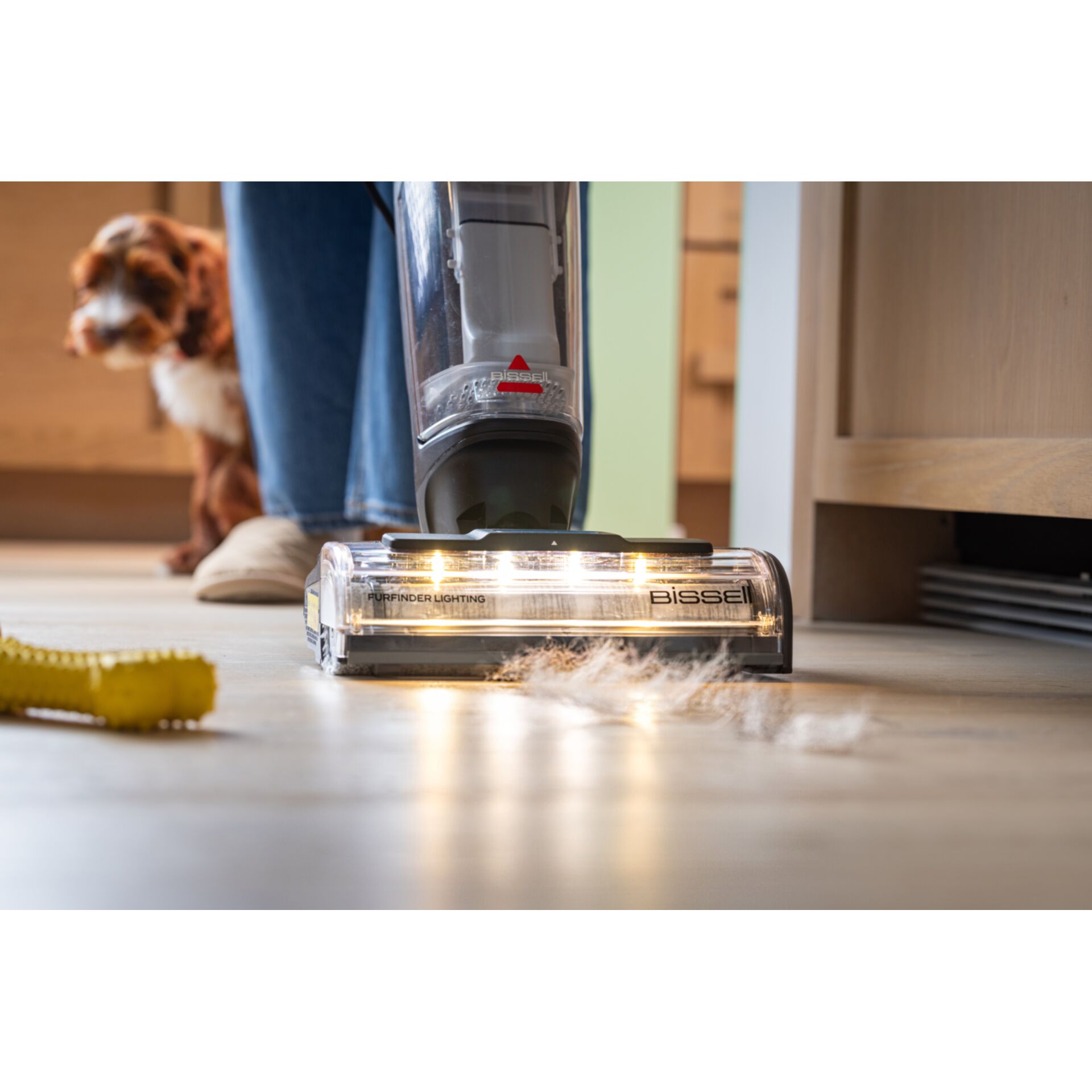 Drinnen, Innenarchitektur, Hund, Säugetier, Haustier, Drinnen, Innenarchitektur, Hund, Säugetier, Haustier, Drinnen, Innenarchitektur, Hund, Säugetier, Haustier, Drinnen, Innenarchitektur, Hund, Säugetier, Haustier