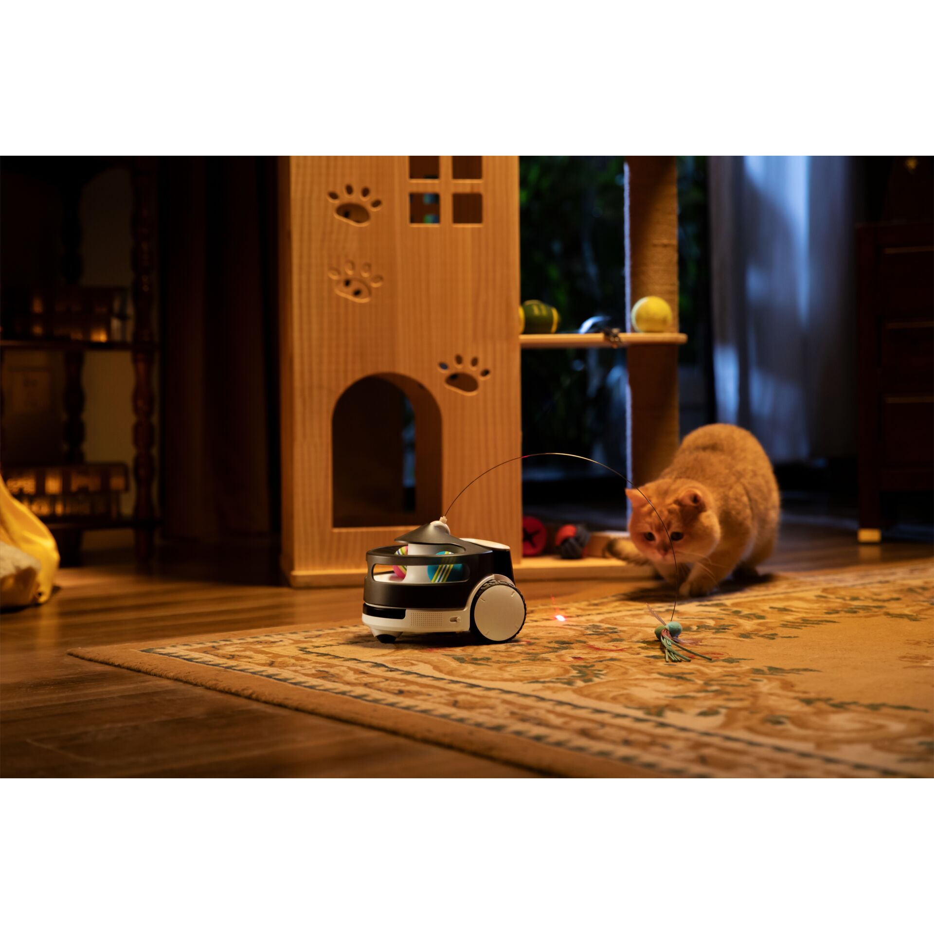 Innenarchitektur, Fußboden, Bodenbeläge, Holz, Hartholz, Innenarchitektur, Fußboden, Bodenbeläge, Holz, Hartholz