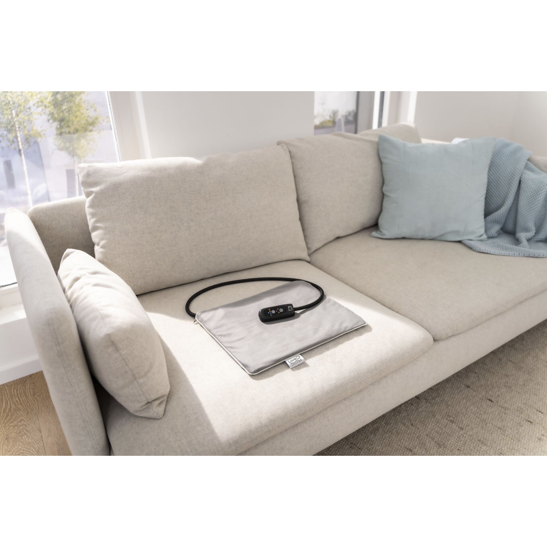 Kissen, Dekoration für Zuhause, Couch, Mobiliar, Kopfkissen