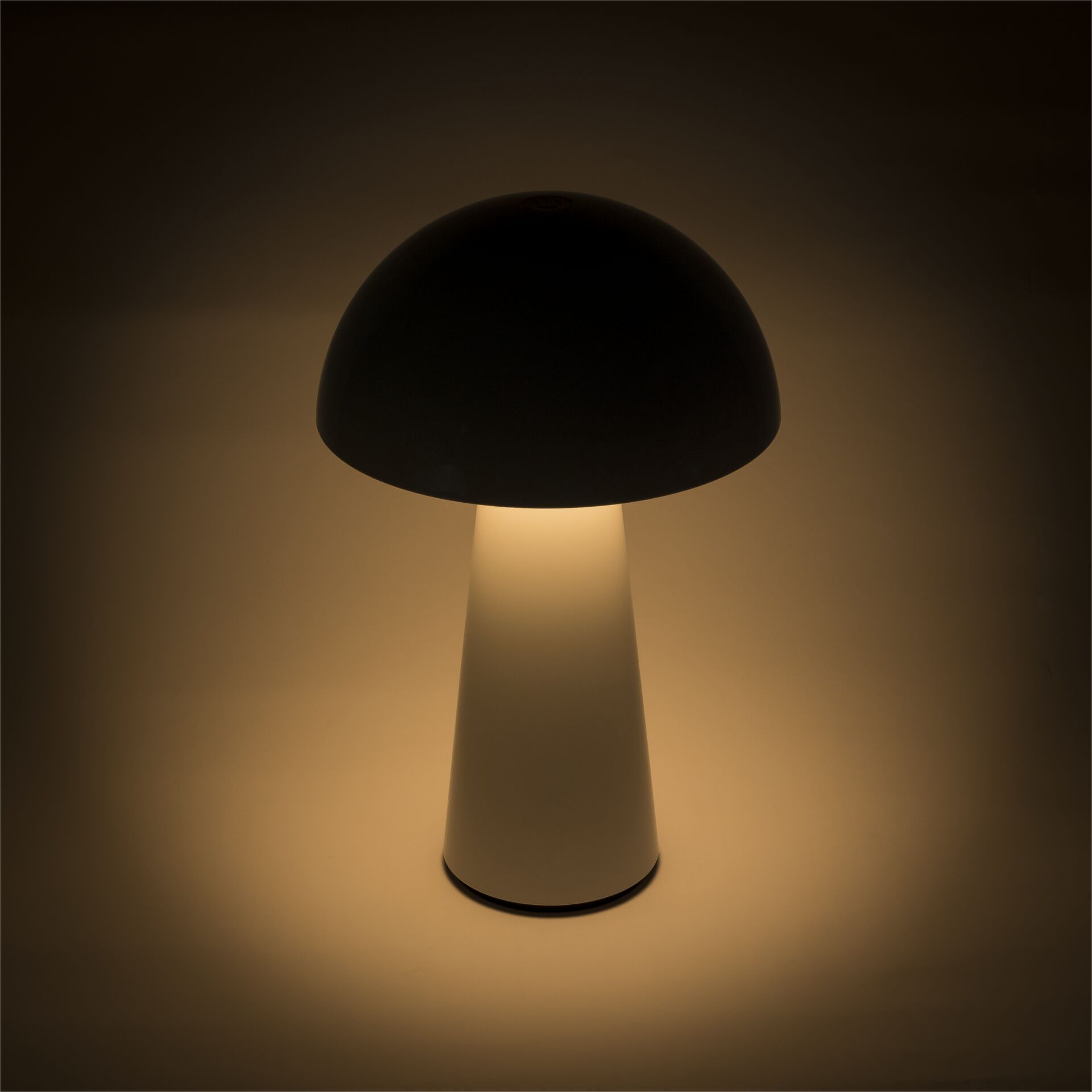 Lampe, Lampenschirm