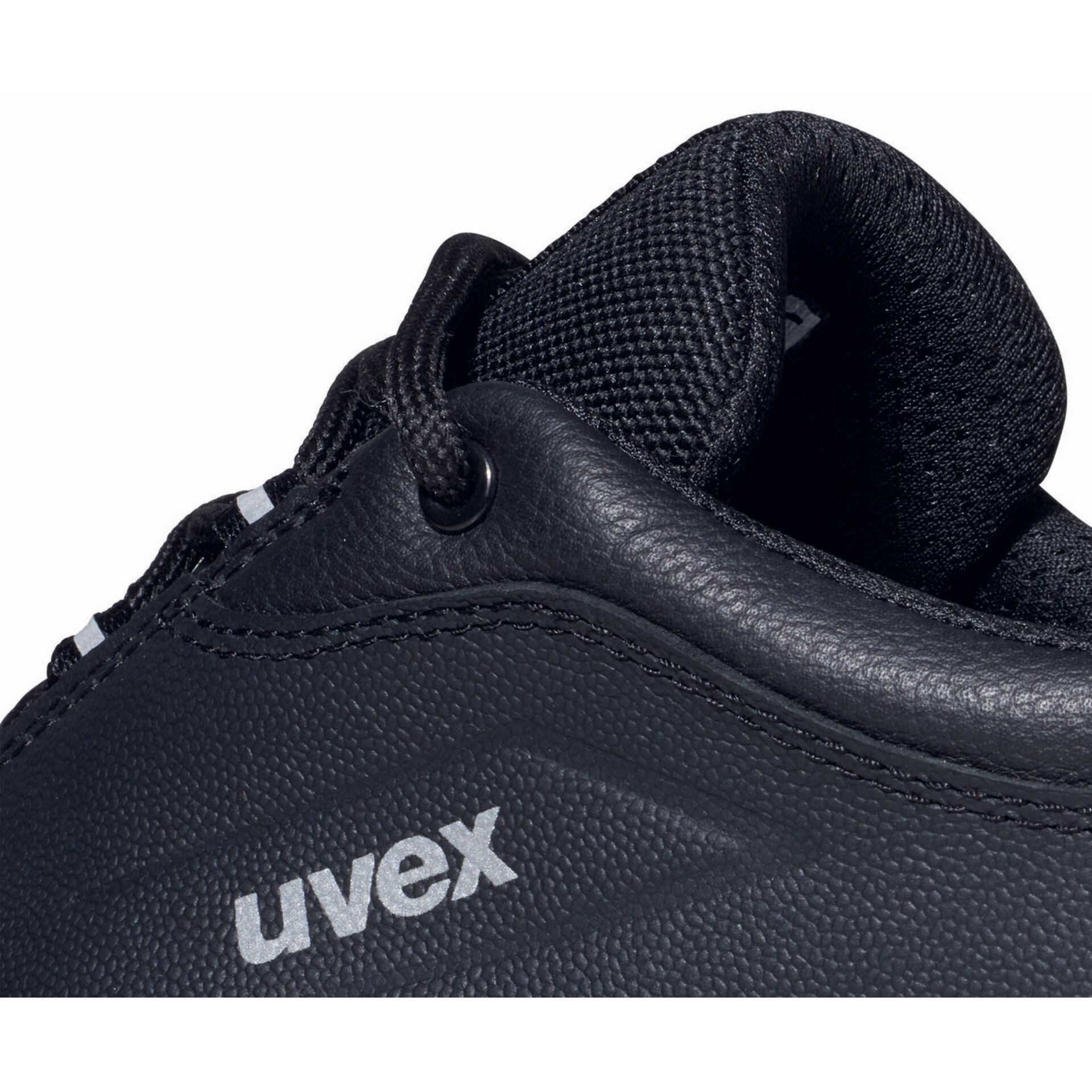 Bekleidung, Schuhwerk, Schuh, Sneaker, Leinwand