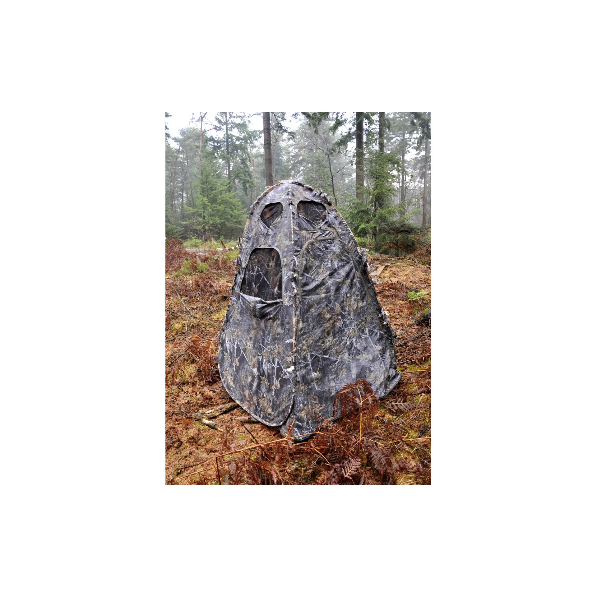 Modisch, Baum, Draußen, Unterschlupf, Bewuchs