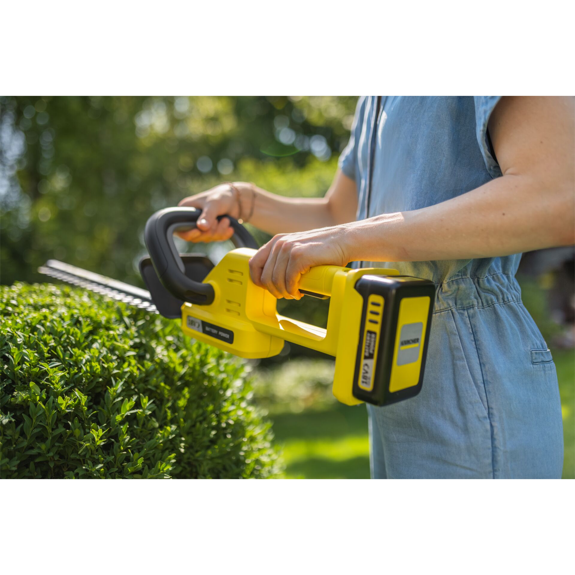 Gras, Pflanze, Gerät