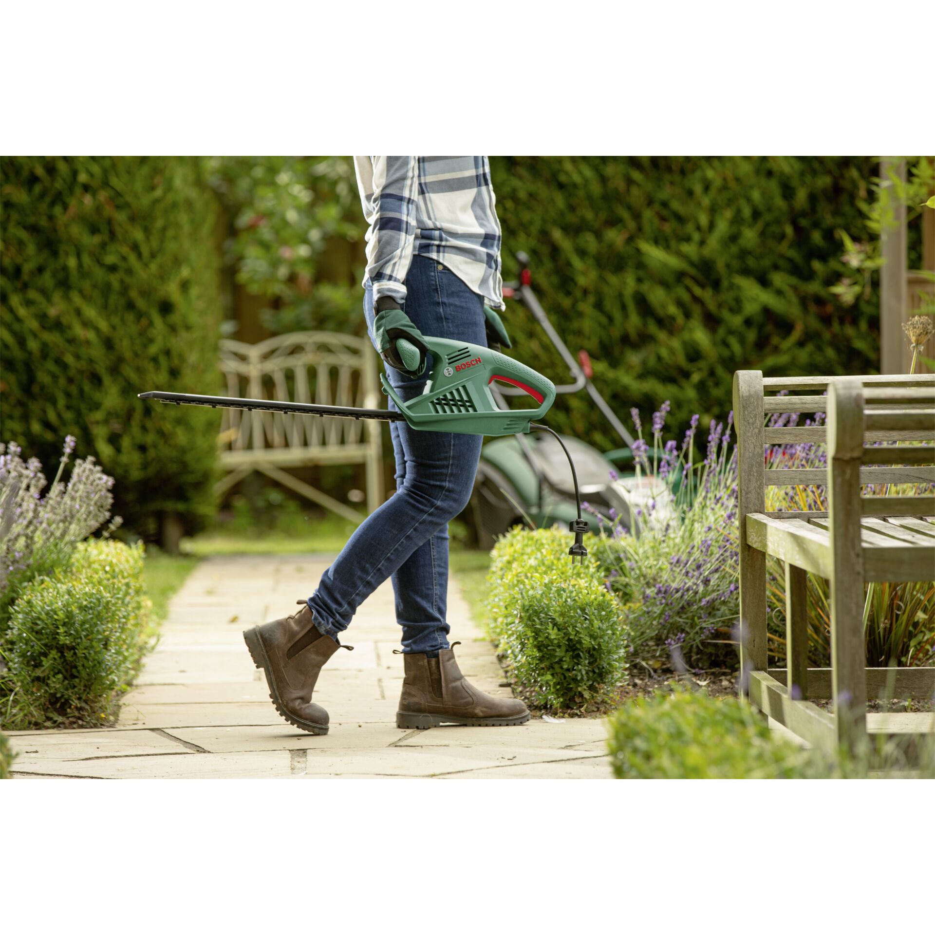 Gras, Rasen, Garten, Person, Innenarchitektur