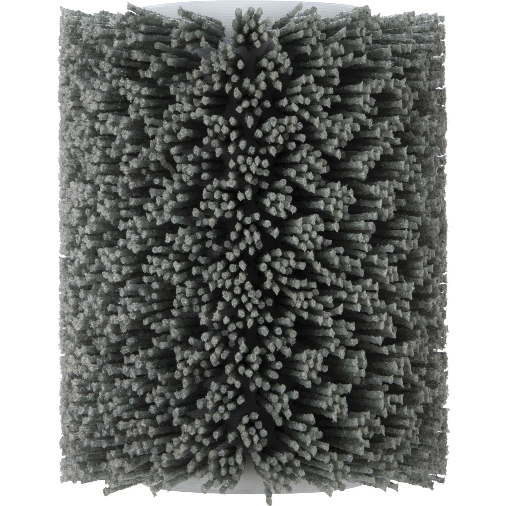 Dekoration für Zuhause, Pinsel, Werkzeug, Pflanze, Vegetation