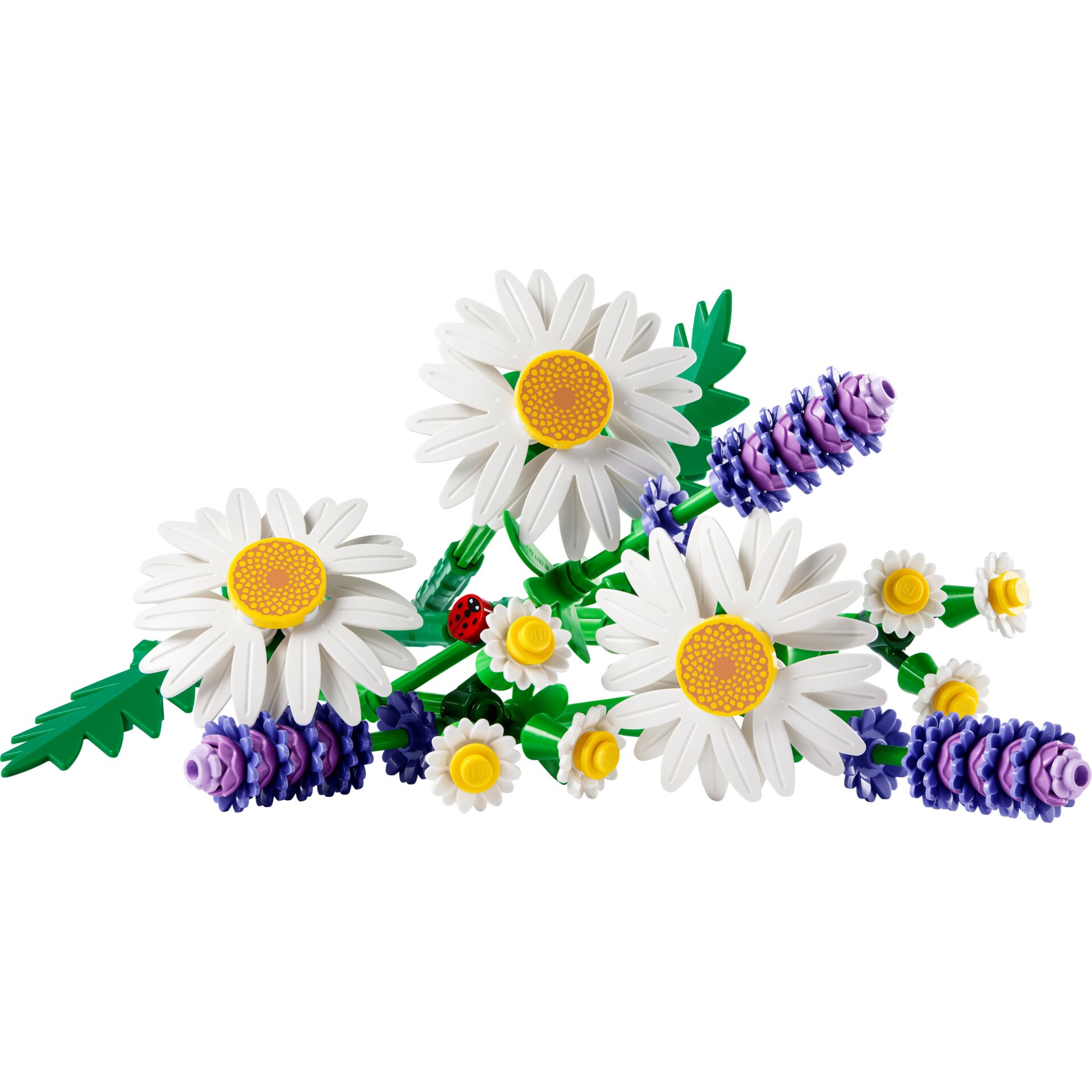 Gänseblümchen, Blume, Pflanze, Blumen-Arrangement, Blumenstrauß