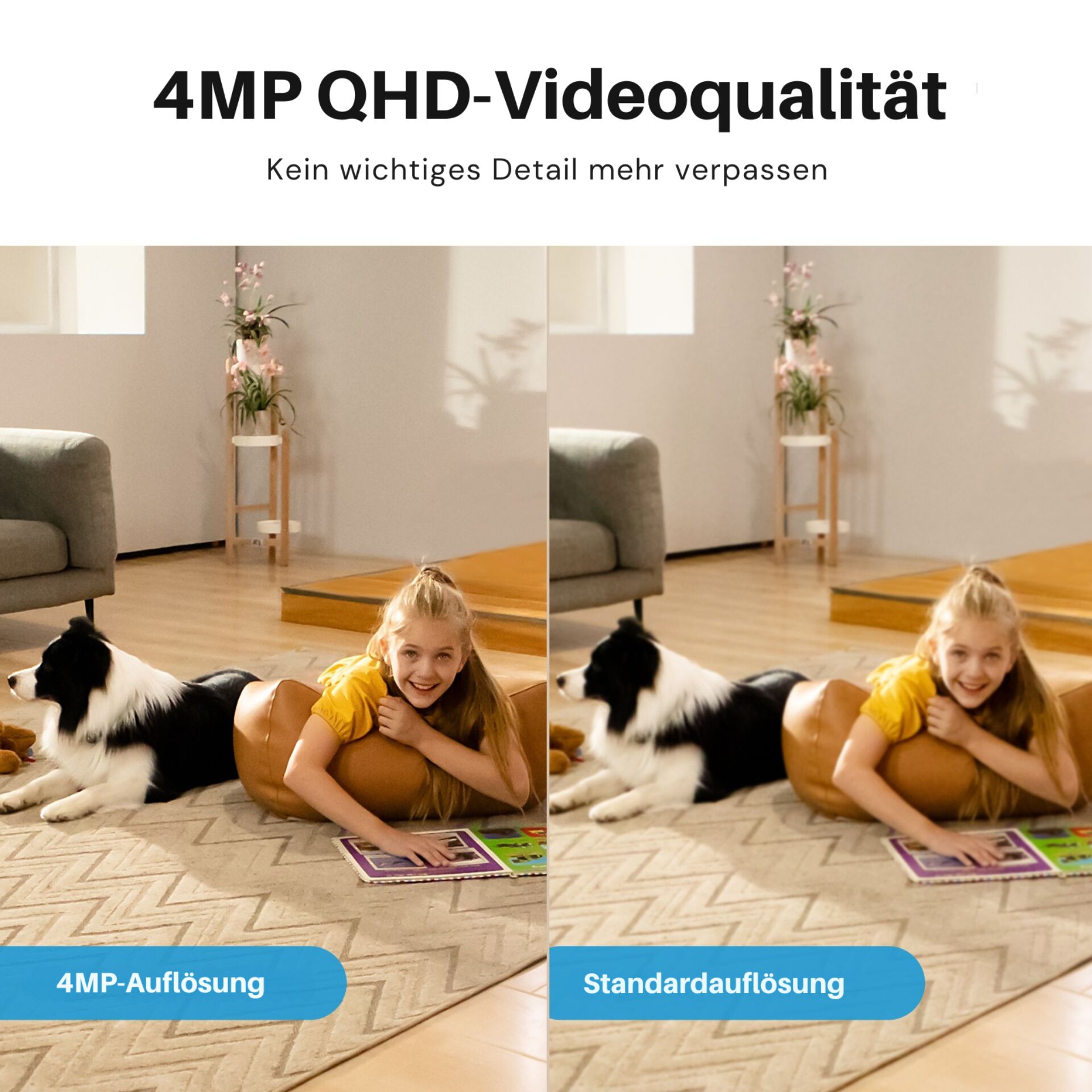 Kind, Hund, Wohnzimmer, Spiel, Kinderzimmer