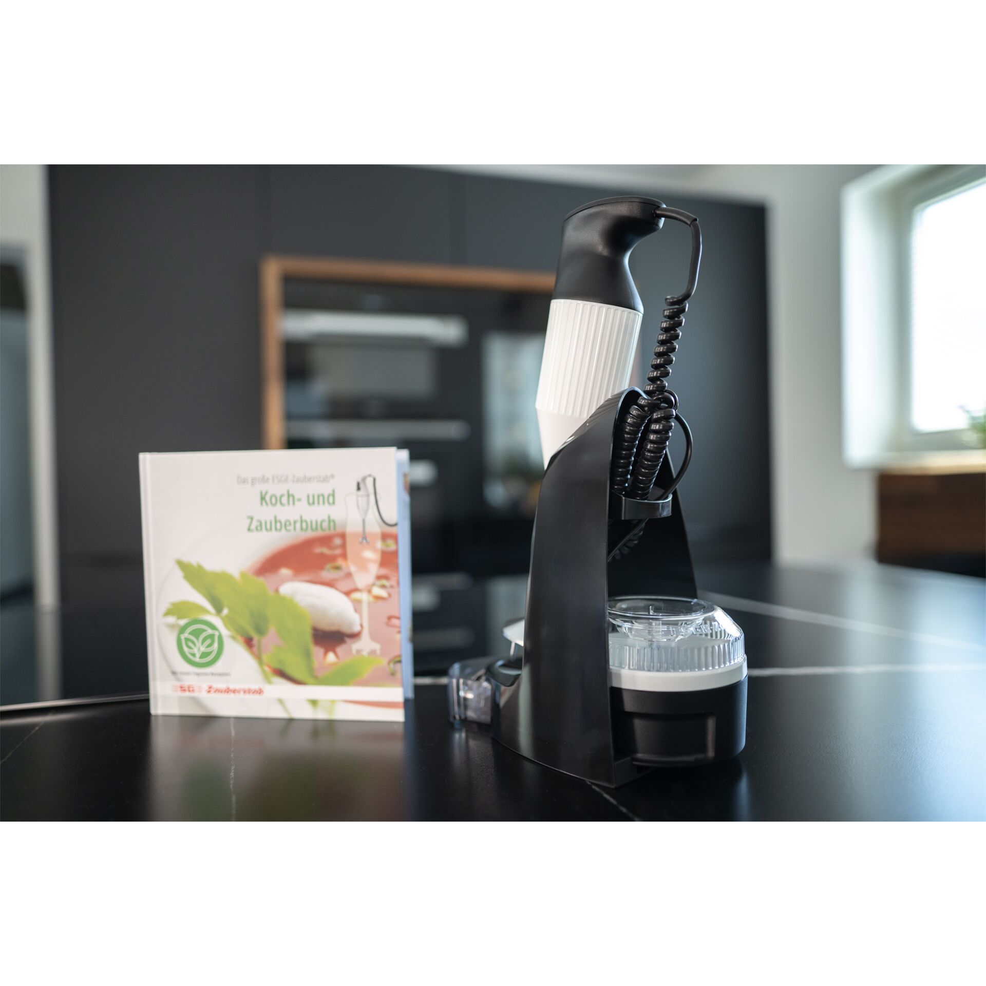 Buch, Veröffentlichung