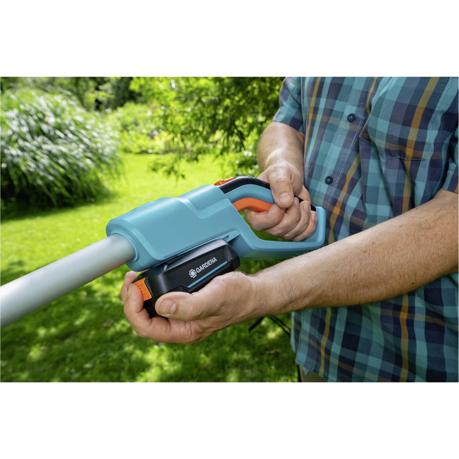 Drinnen, Innenarchitektur, Gras, Pflanze