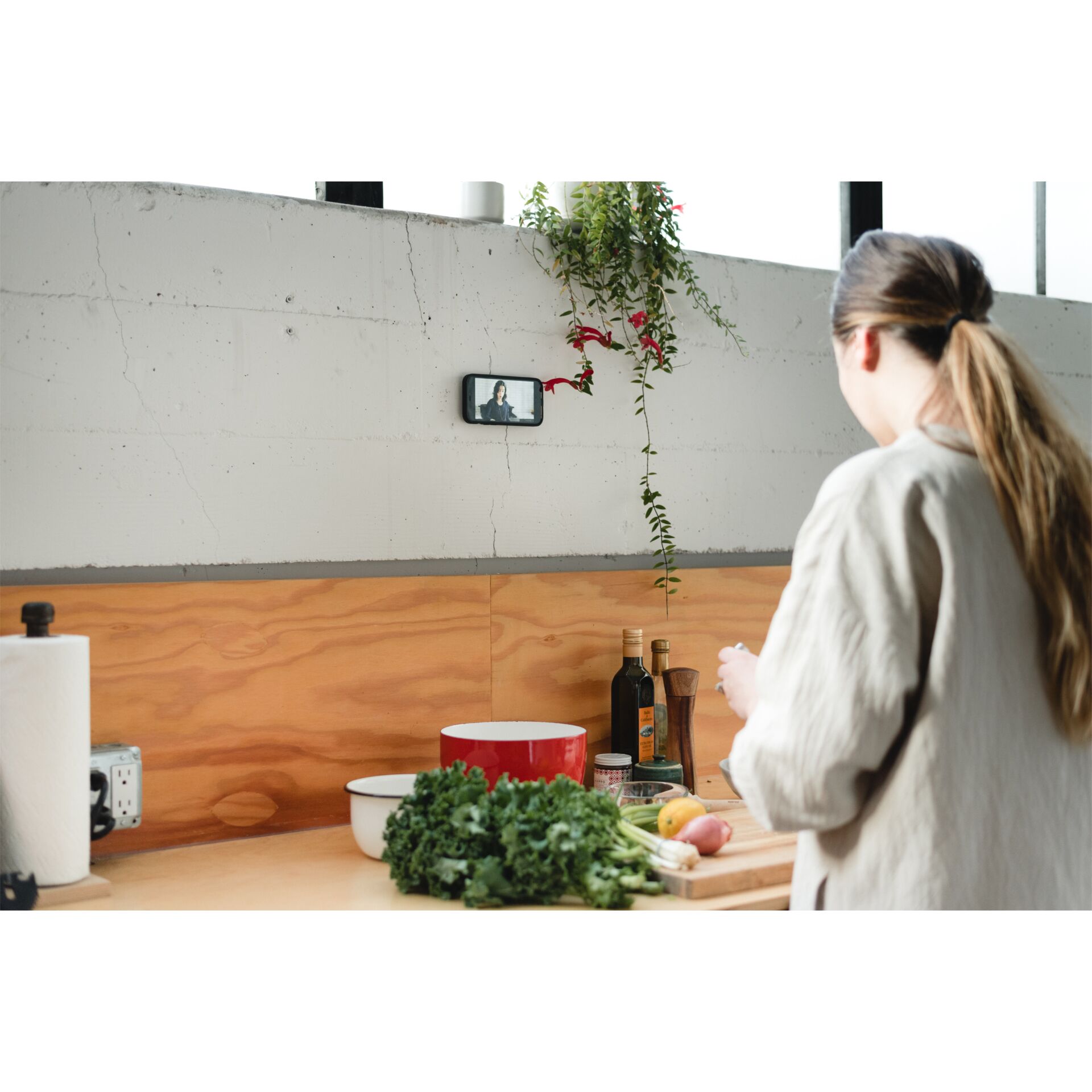 Pflanze, Pflanze im Topf, Person, Innenarchitektur, Tasse