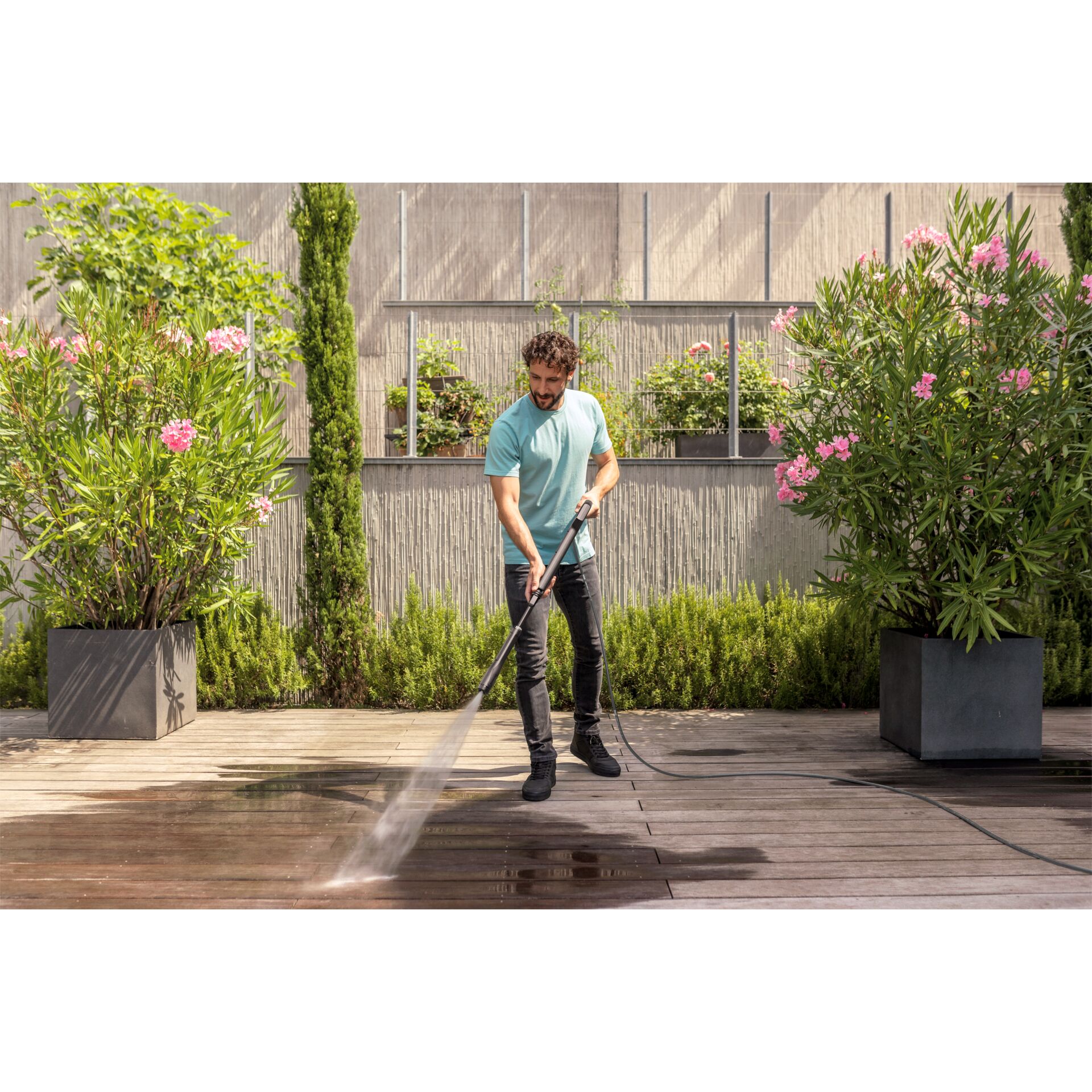 Drinnen, Innenarchitektur, Gras, Pflanze