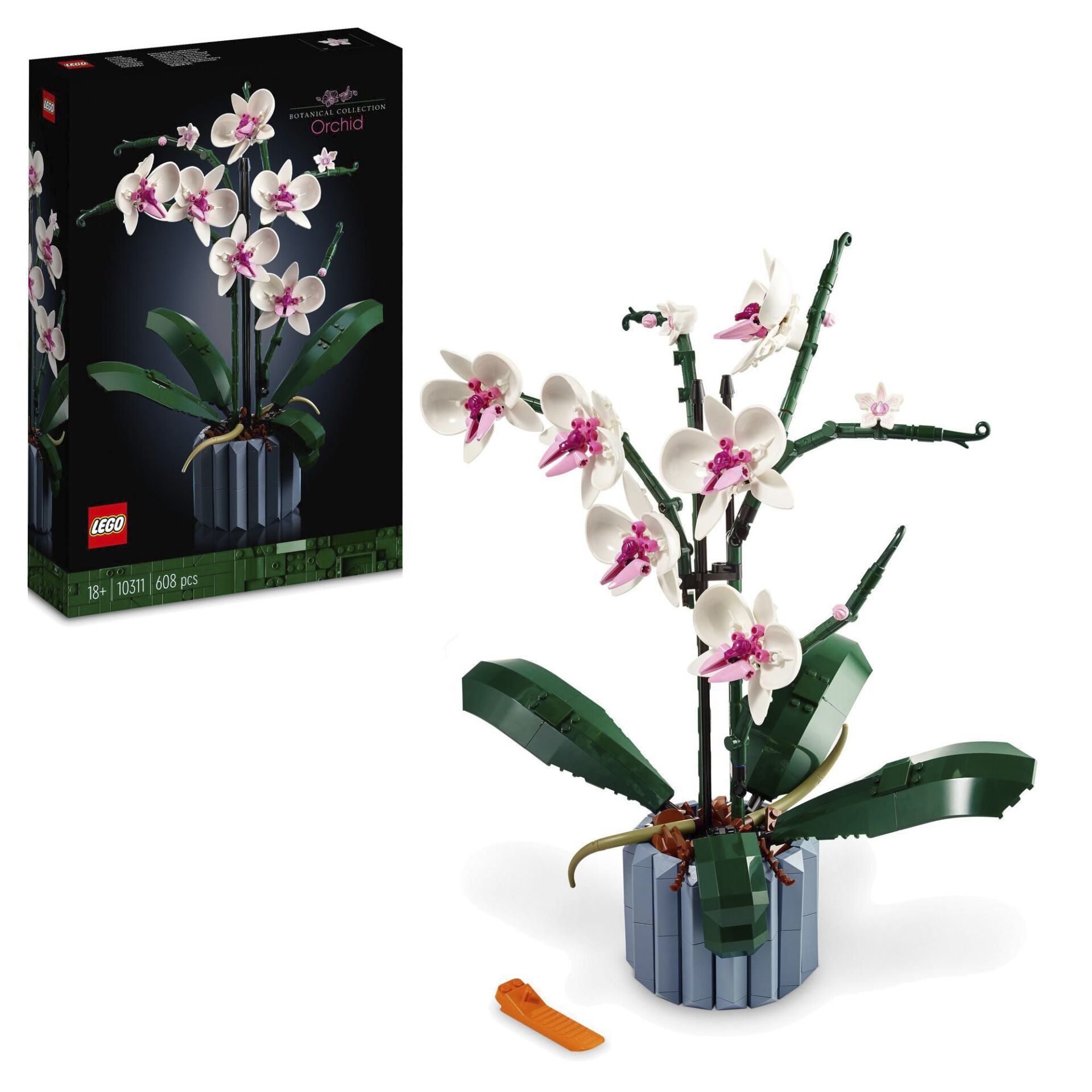 Blume, Blumen-Arrangement, Pflanze, Ikebana, Orchidee