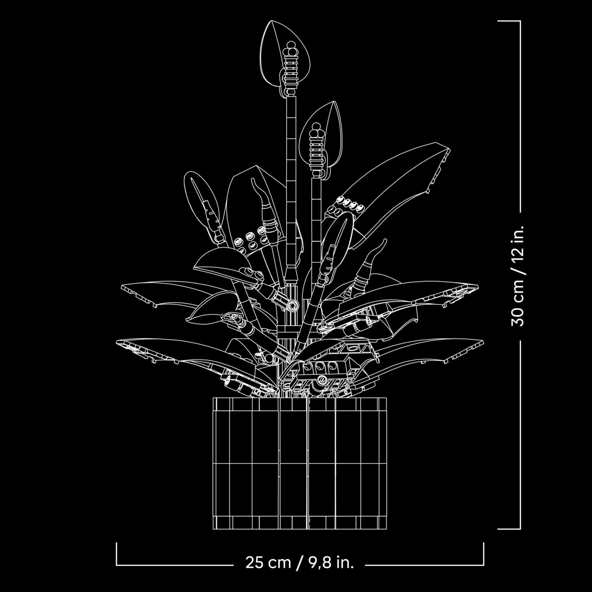 CAD-Diagramm, Diagramm