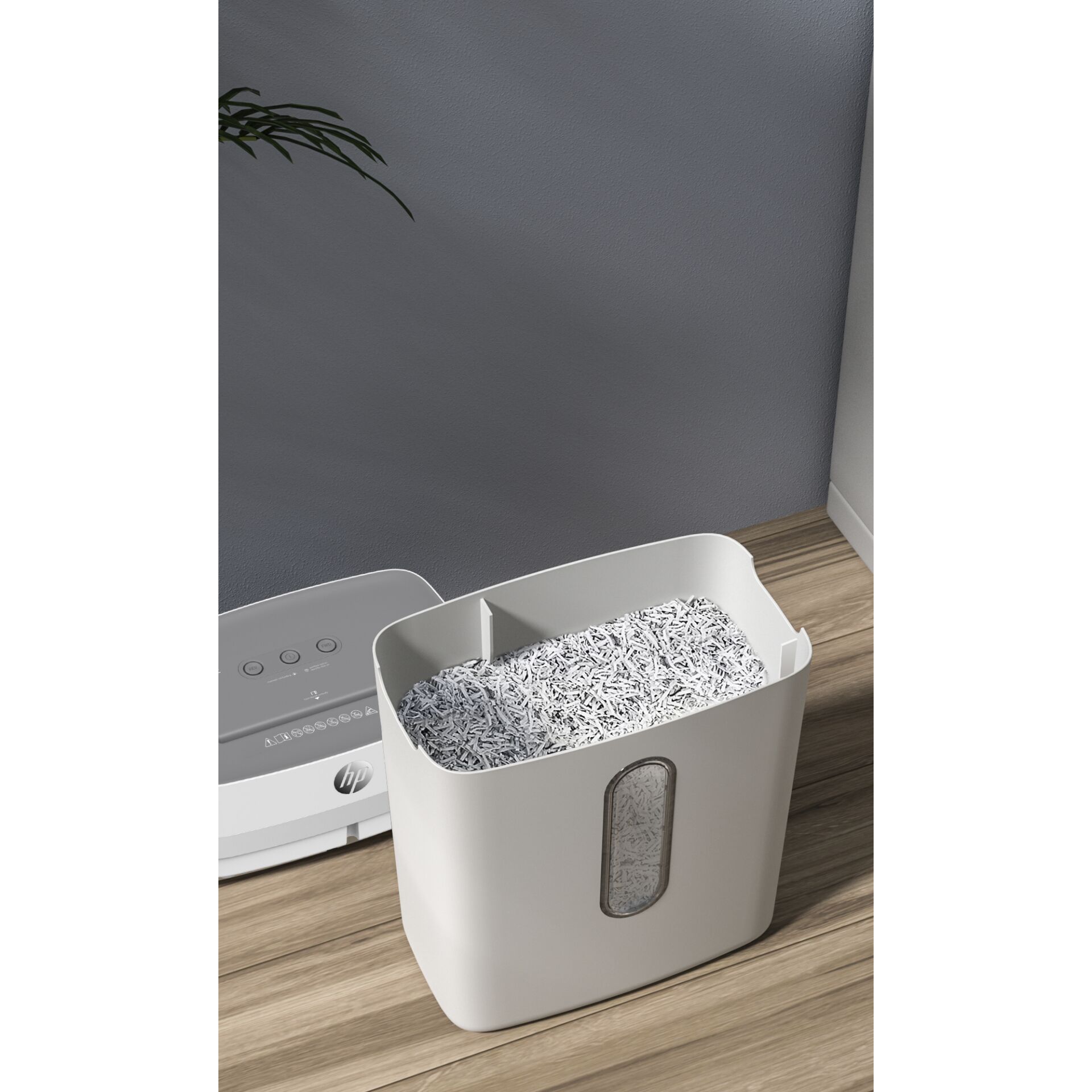 Pflanze, Pflanze im Topf, Drinnen, Innenarchitektur, Wanne