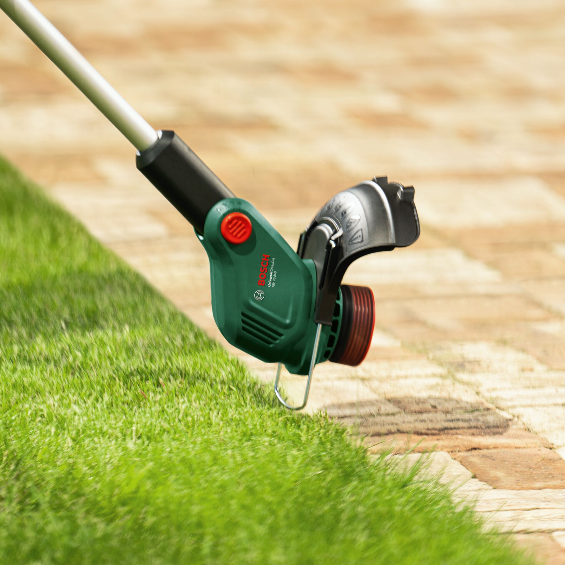 Gras, Rasen, Pflanze, Gerät