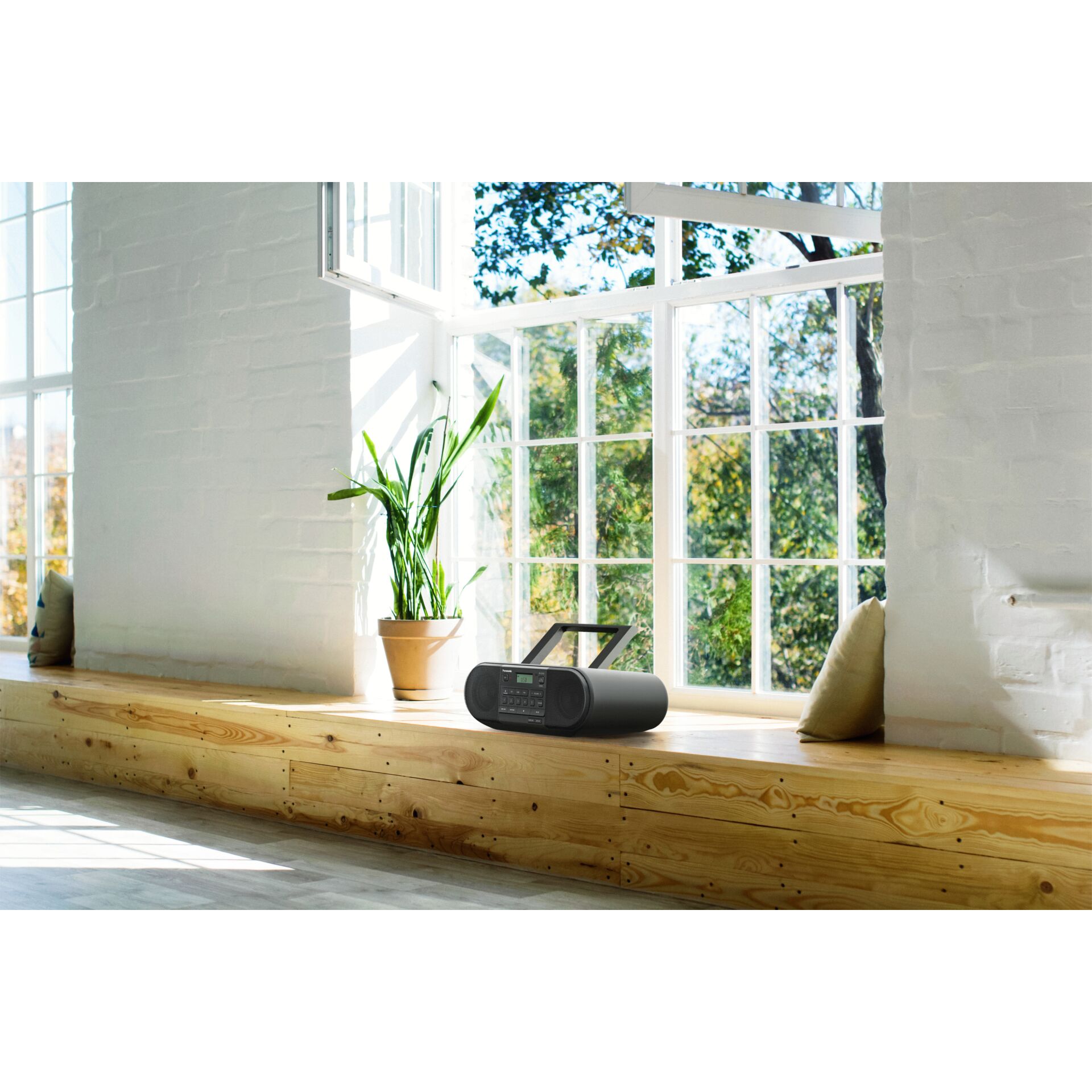 Fenster, Pflanze, Fensterbank