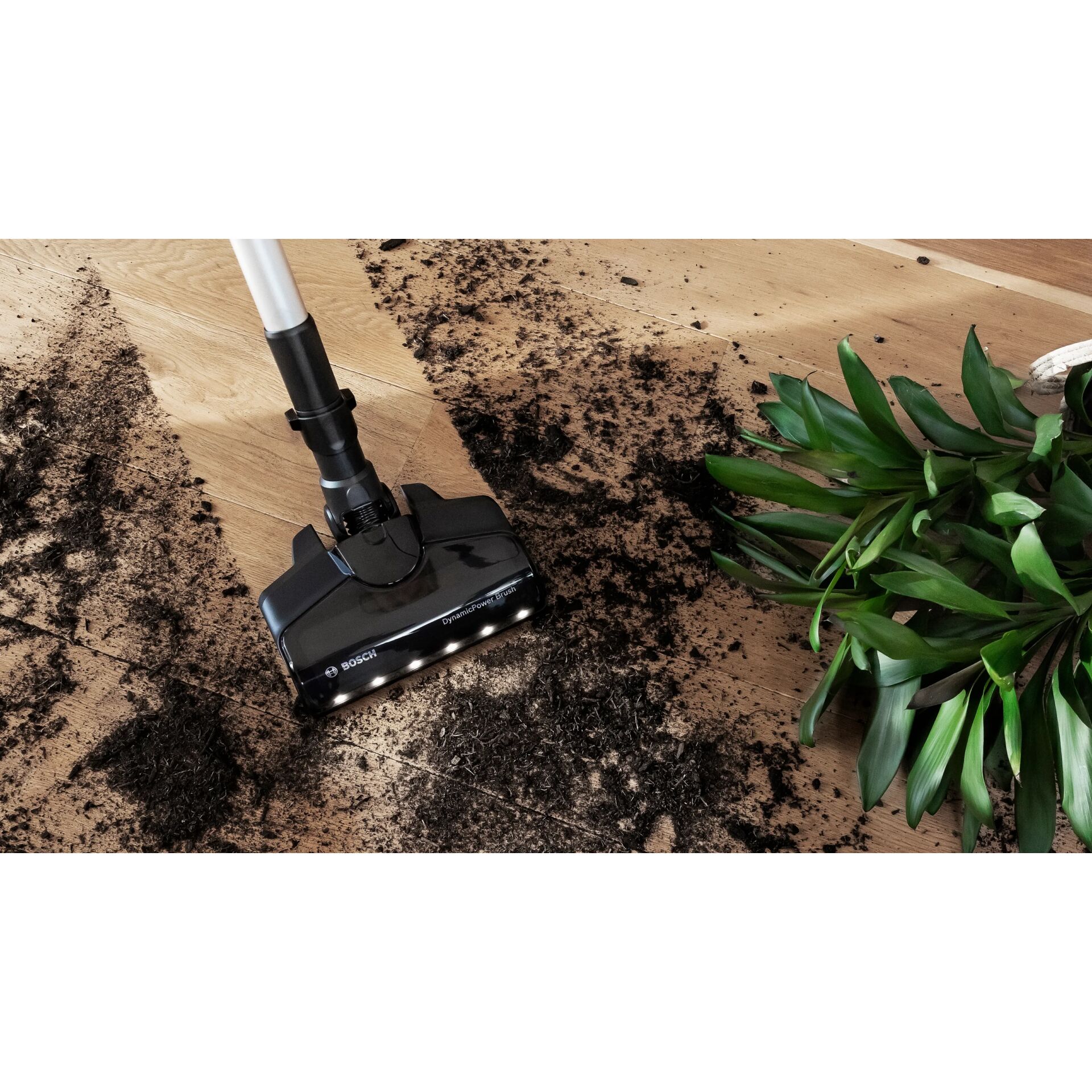 Drinnen, Innenarchitektur, Boden