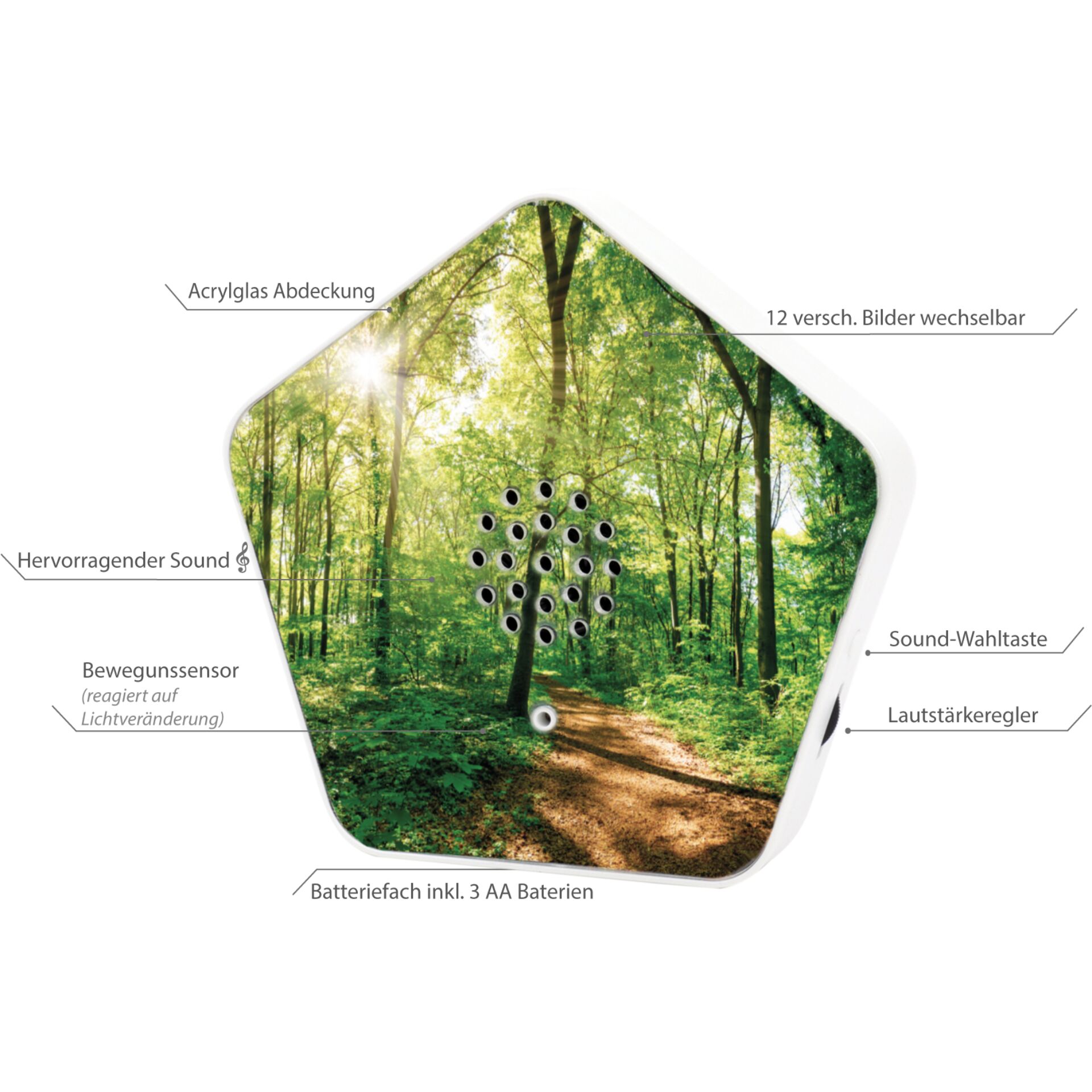 Pflanzenwuchs, Pfad, Land, Wald, Hain