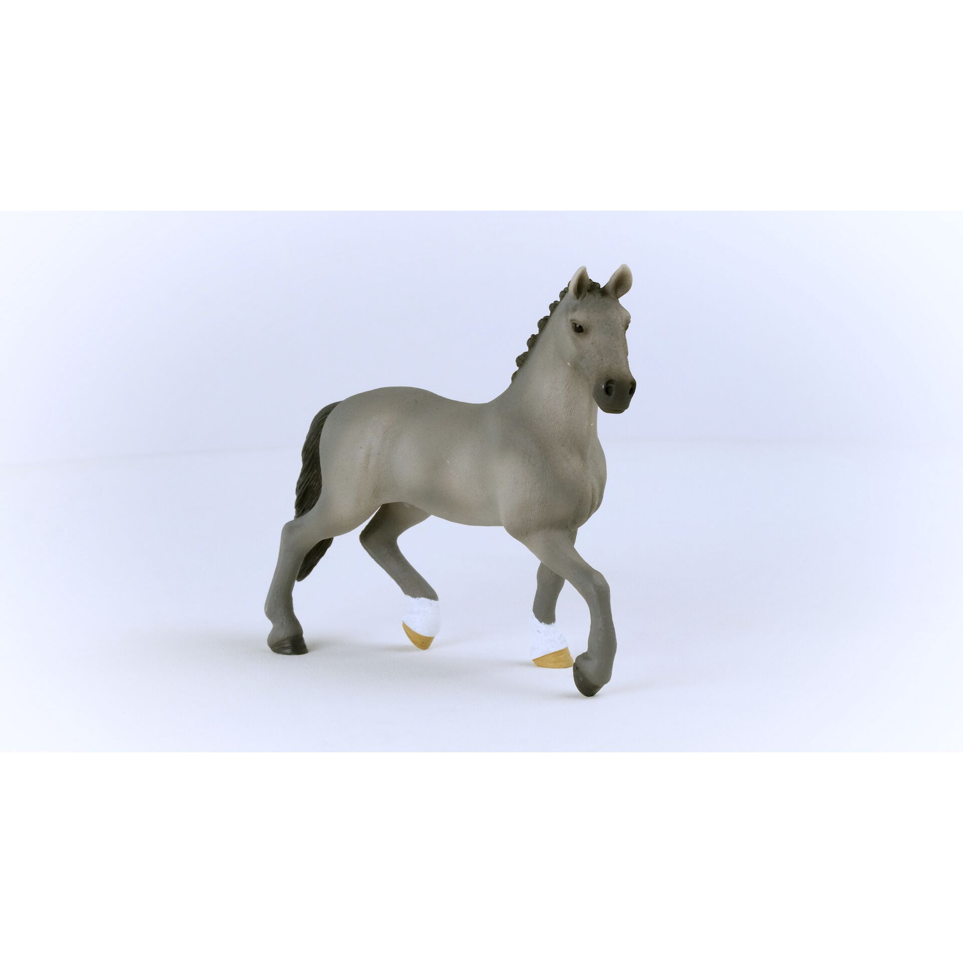 Tier, Pferd, Säugetier, Colt Horse