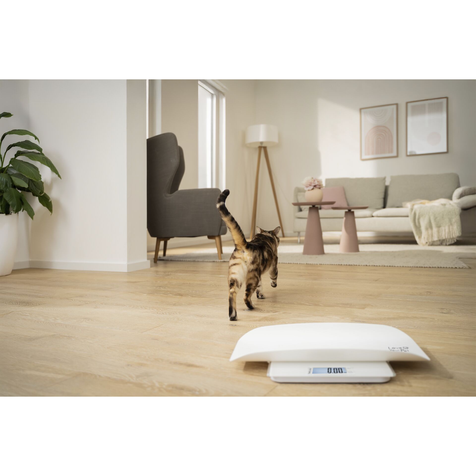 Innenarchitektur, Fußboden, Bodenbeläge, Wohnzimmer, Holz