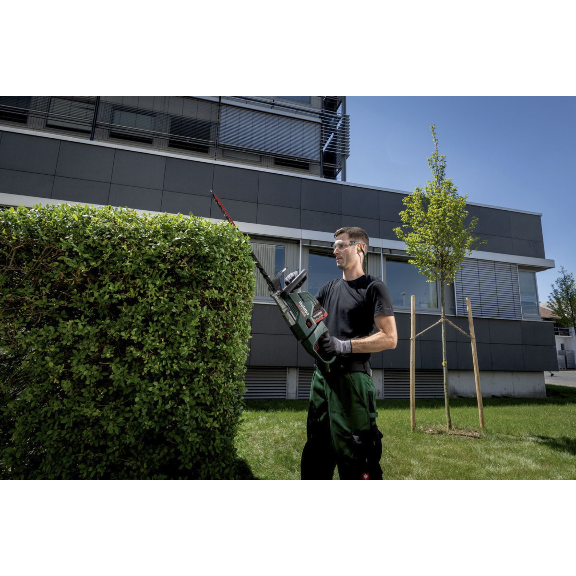 Gras, Hecke, Rasen, Innenarchitektur, Person