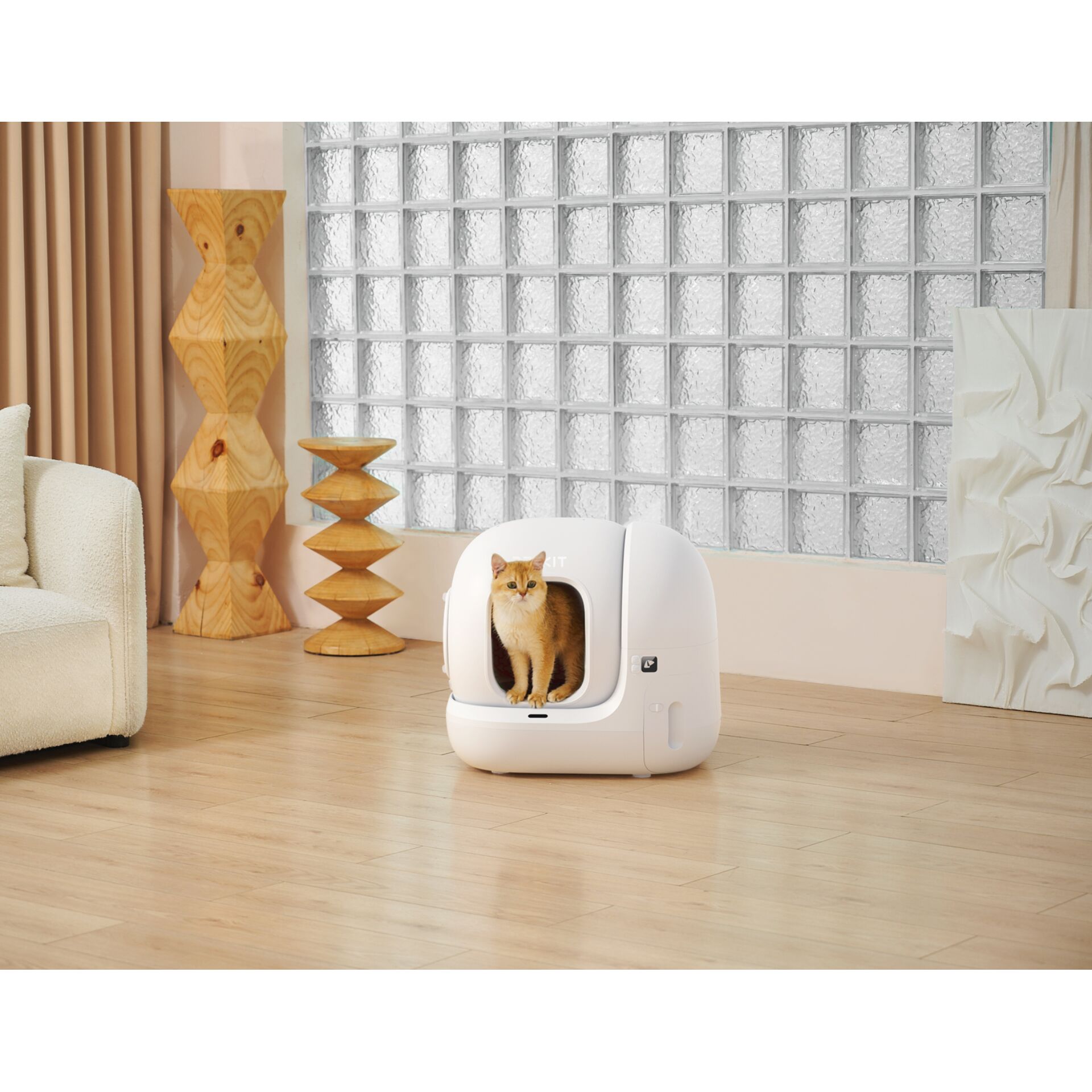 Drinnen, Innenarchitektur, Katze, Säugetier, Haustier